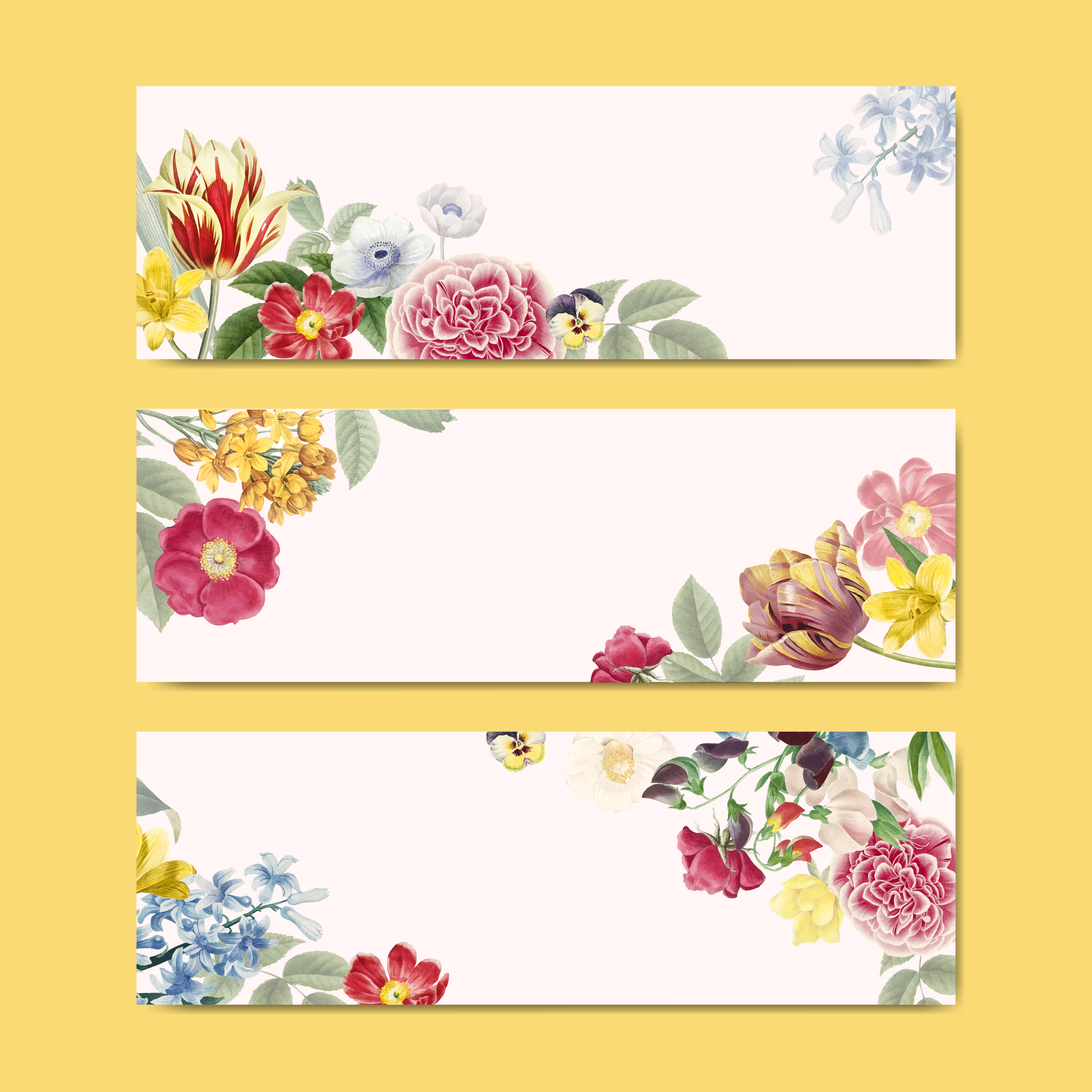 Download Blank floral banner copy space - Download Free Vectors, Clipart Graphics & Vector Art