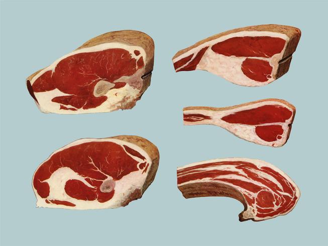 Beef Sirloins from the book, The Grocers Encyclopedia 1911. Digitally enhanced by rawpixel. vector