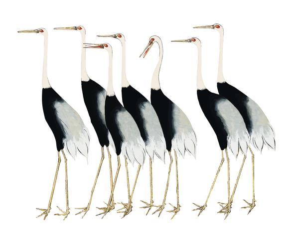 A traditional portrait of a flock of beautiful Japanese red crown crane by Ogata Korin 1658-1716. Digitally enhanced by rawpixel. vector