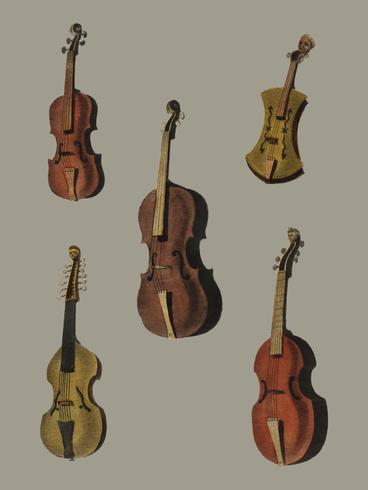 Una colección de violín antiguo, viola, cello y más de la Enciclopedia Londinensis; o Diccionario Universal de las Artes, las Ciencias y la Literatura (1810). Mejorado digitalmente por rawpixel. vector