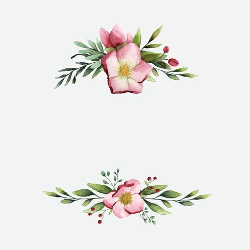 Hellebore Blumen gemalt durch Aquarellvektor Download Hellebore Blumen gemalt durch Aquarellvektor Download