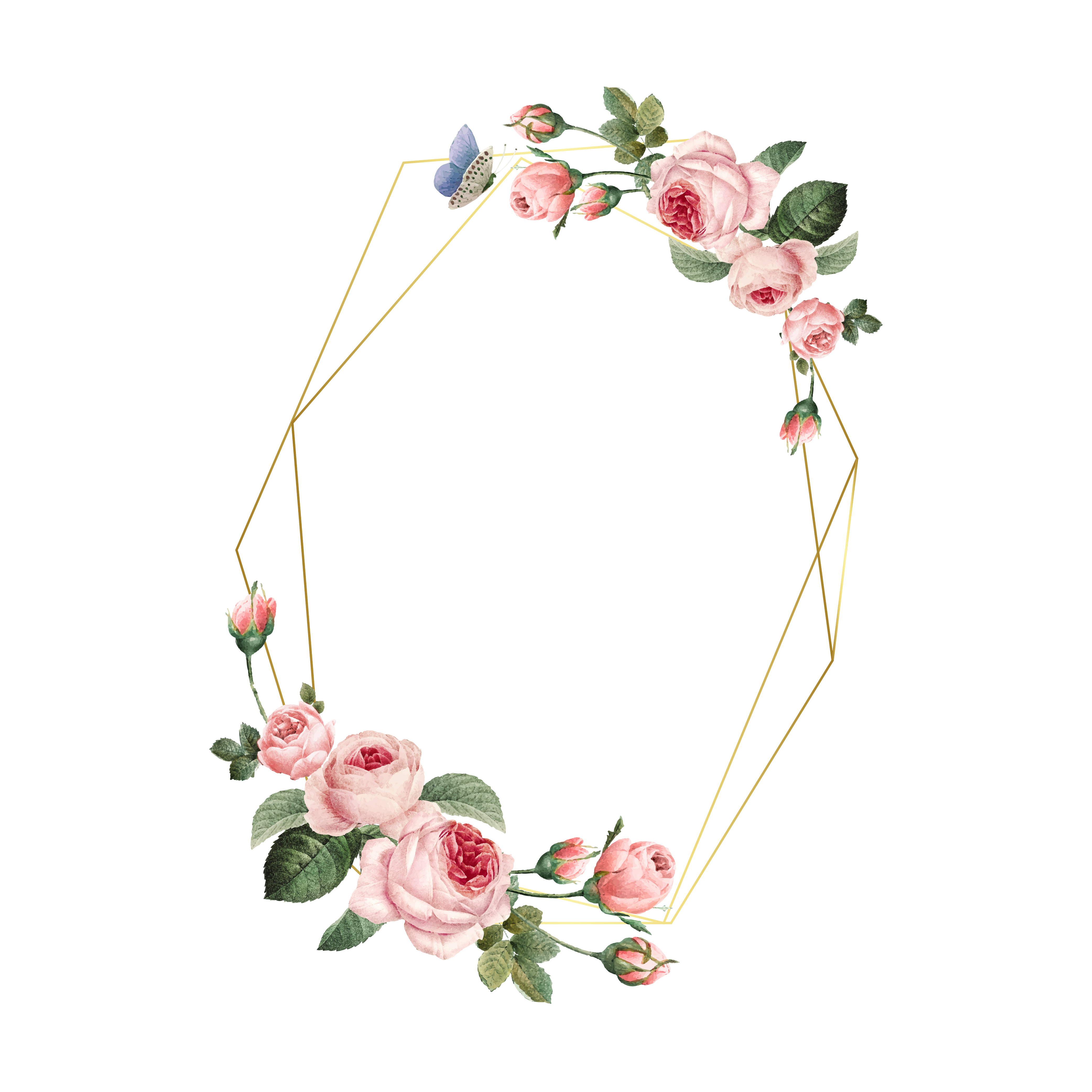 Download Hand drawn blank pink roses frame on white background vector - Download Free Vectors, Clipart ...