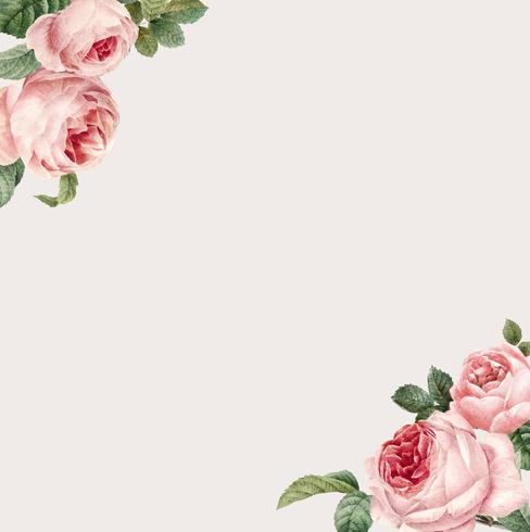 Hand drawn pink roses frame on beige background vector