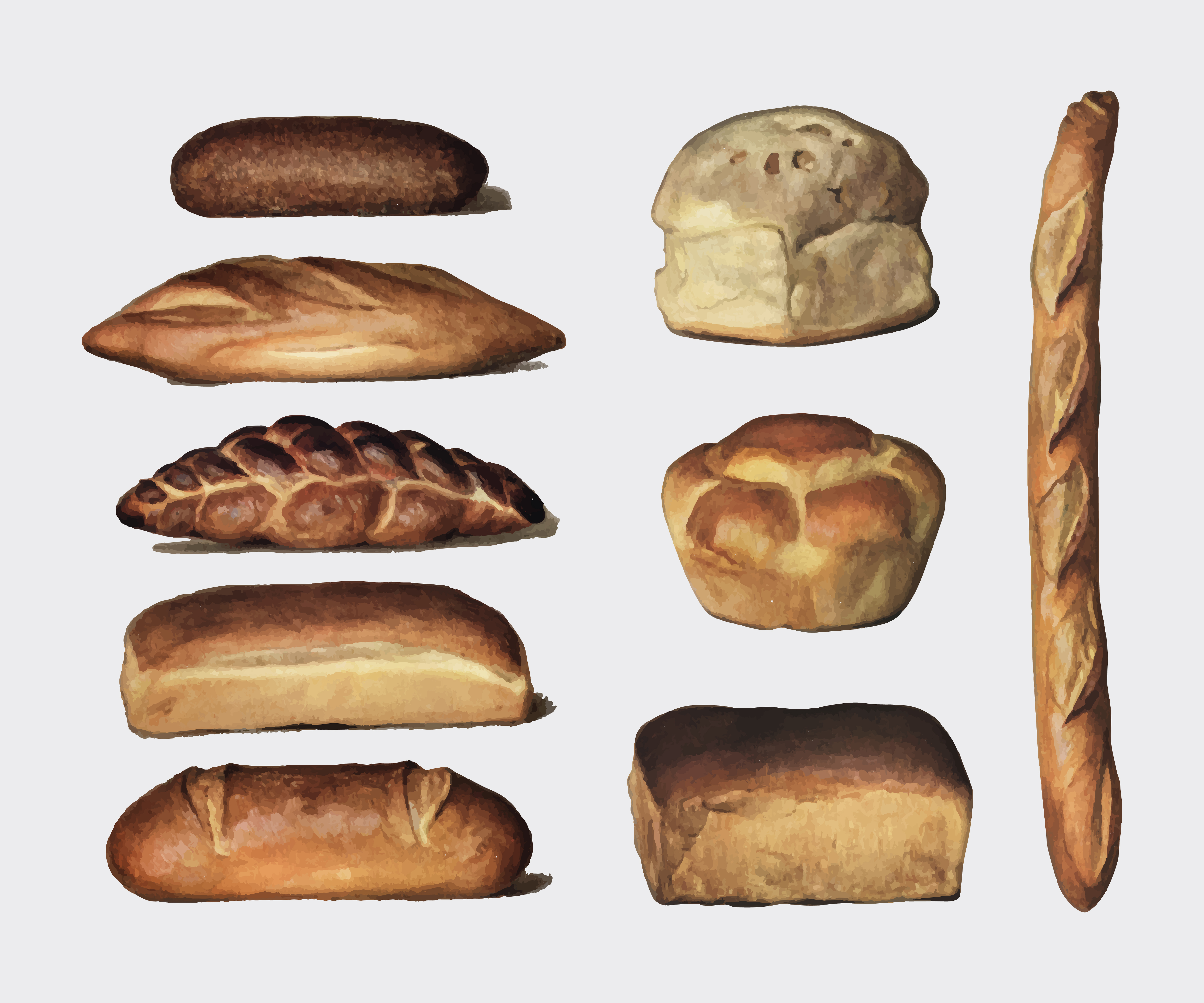 , a vintage collection of various types of baked bread loaves