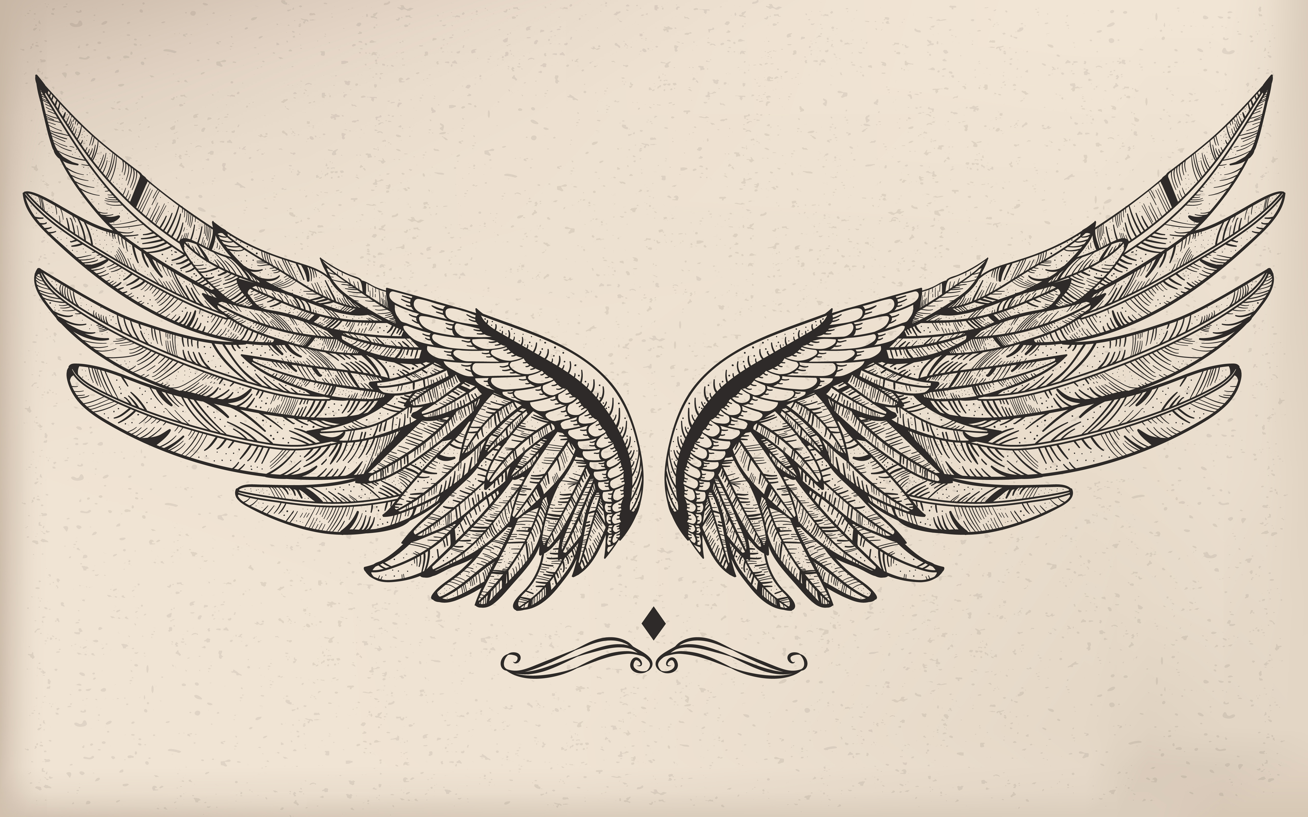 Vintage vector wing Download Free Vectors, Clipart Graphics & Vector Art