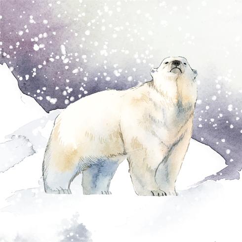 Hand Drawn Polar Bear In The Snow Watercolor Style Vector