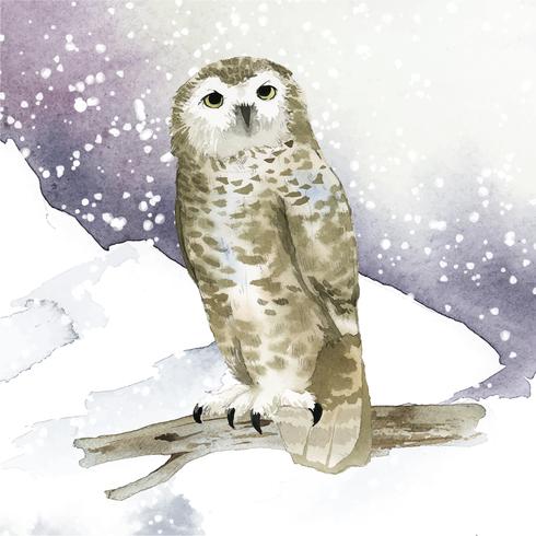Free Free 185 Snowy Owl Svg SVG PNG EPS DXF File