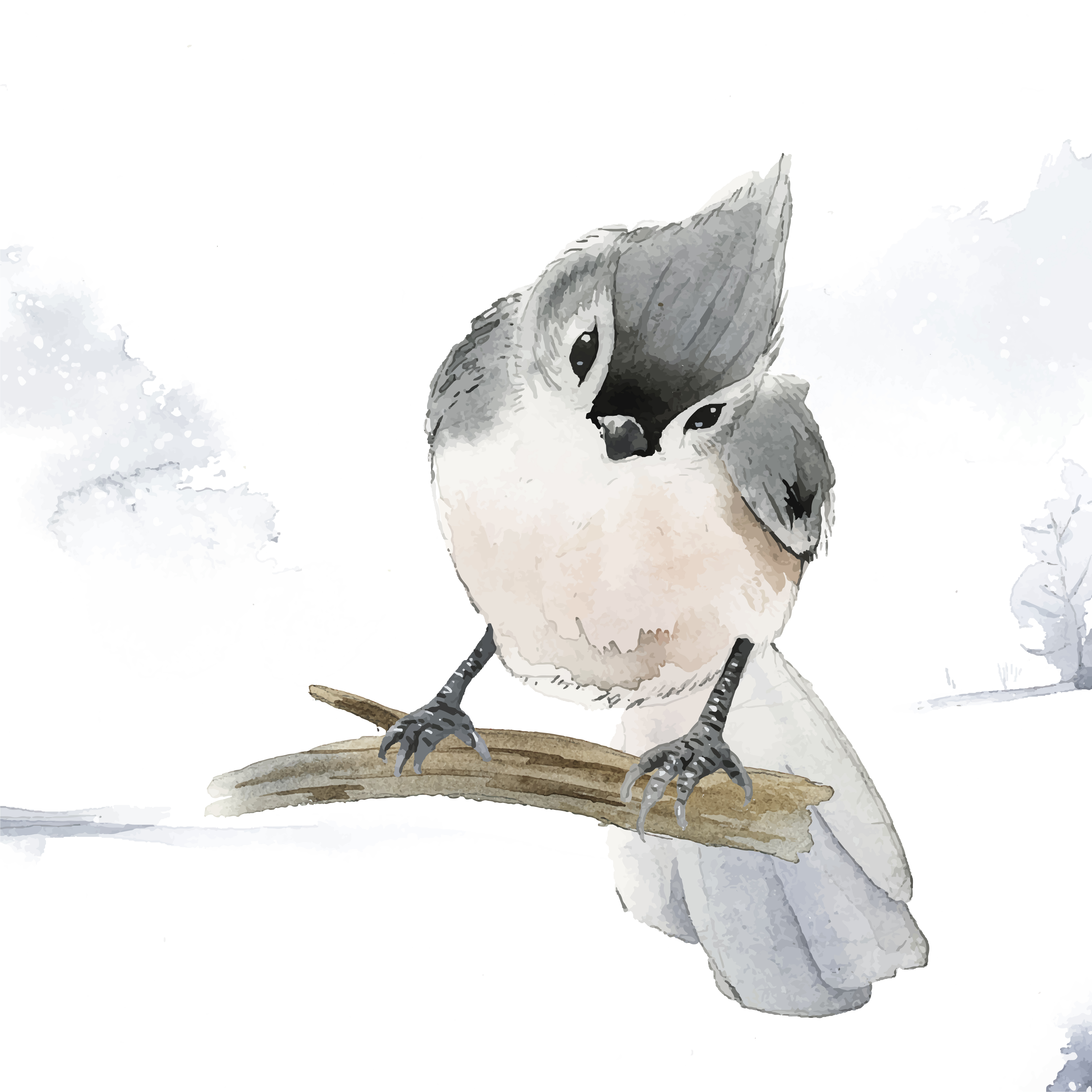 Tufted Titmouse Bird In Wintertime Watercolor Vector Download Free