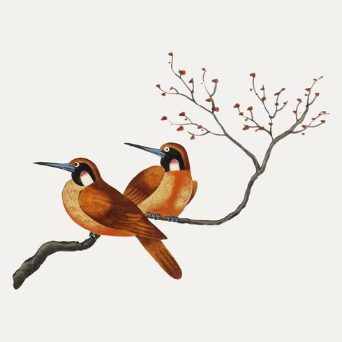 Chinese painting featuring two birds on a flowering tree branch.