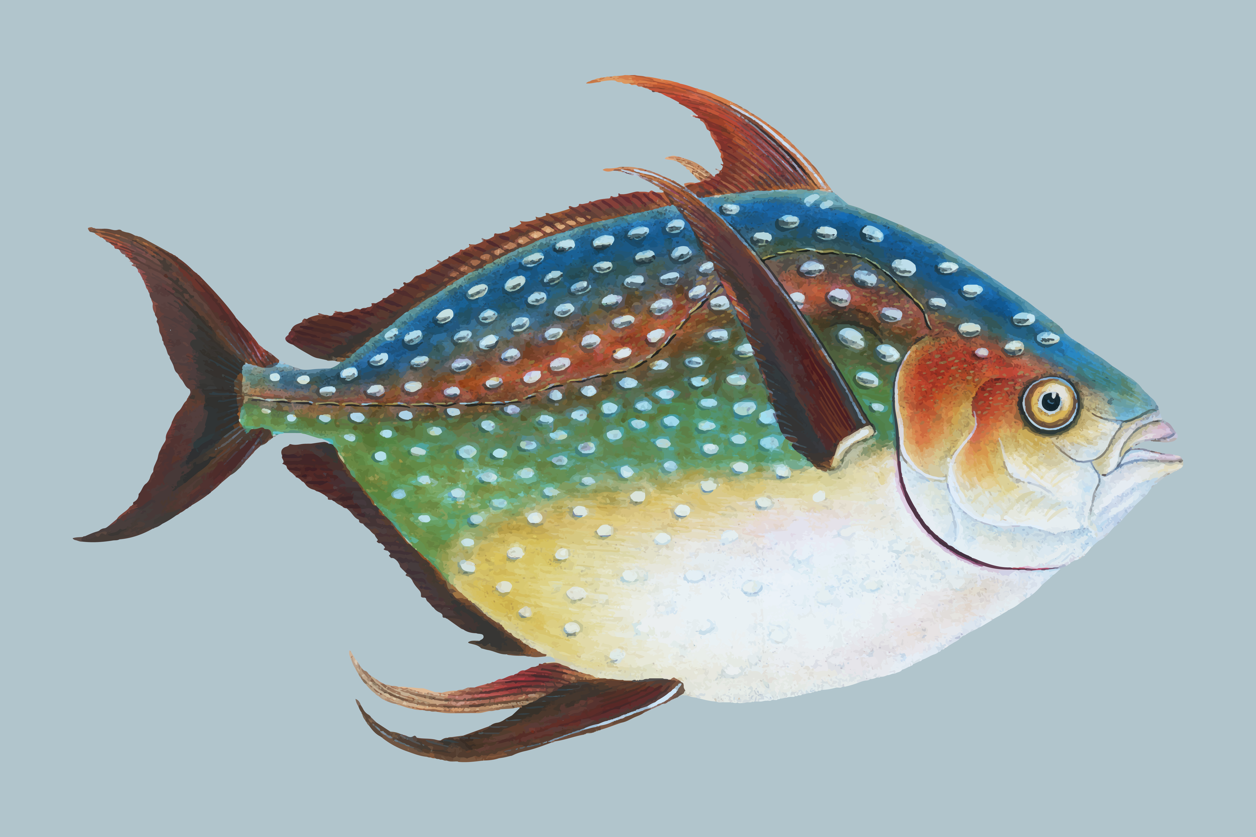 Vintage Fish Clip Art