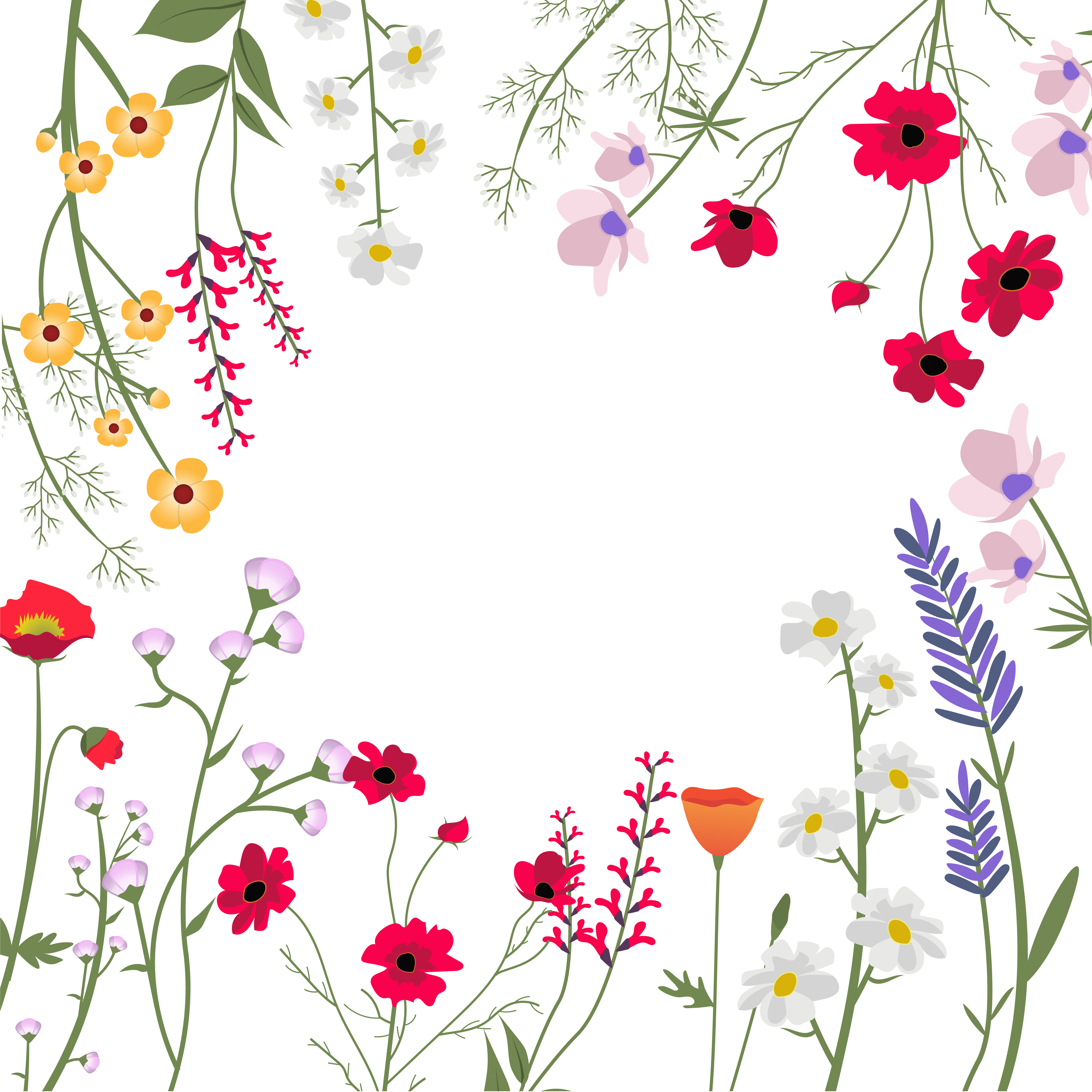 Wild Flowers Vector Illustration Download Free Vectors