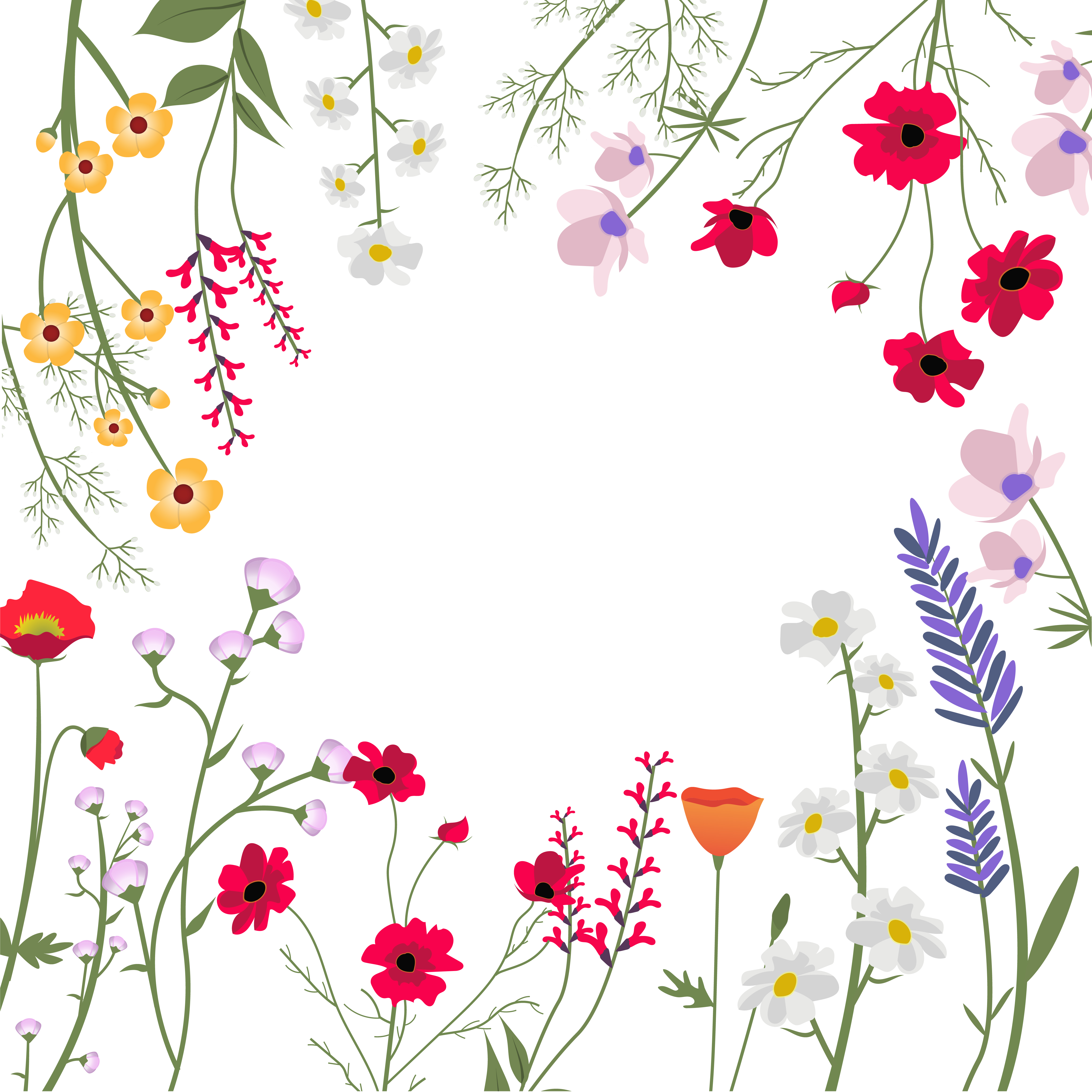 Wild Flowers  Vector  Illustration Download Free Vectors  