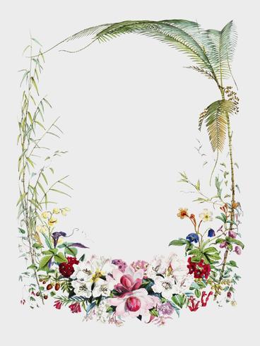 Página de título de Ilustraciones de plantas del Himalaya (1855) por WH (Walter Hood) Fitch (1817-1892). Mejorado digitalmente por rawpixel. vector