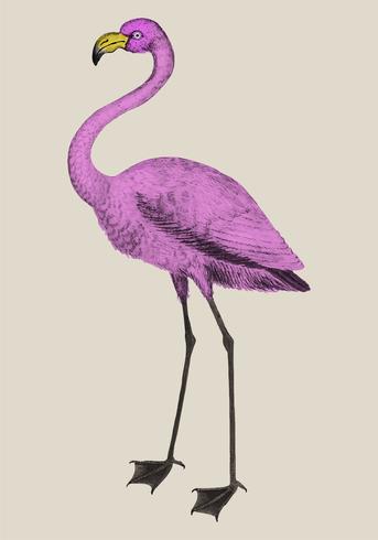 vintage flamingo clipart vintage flamingo clipart