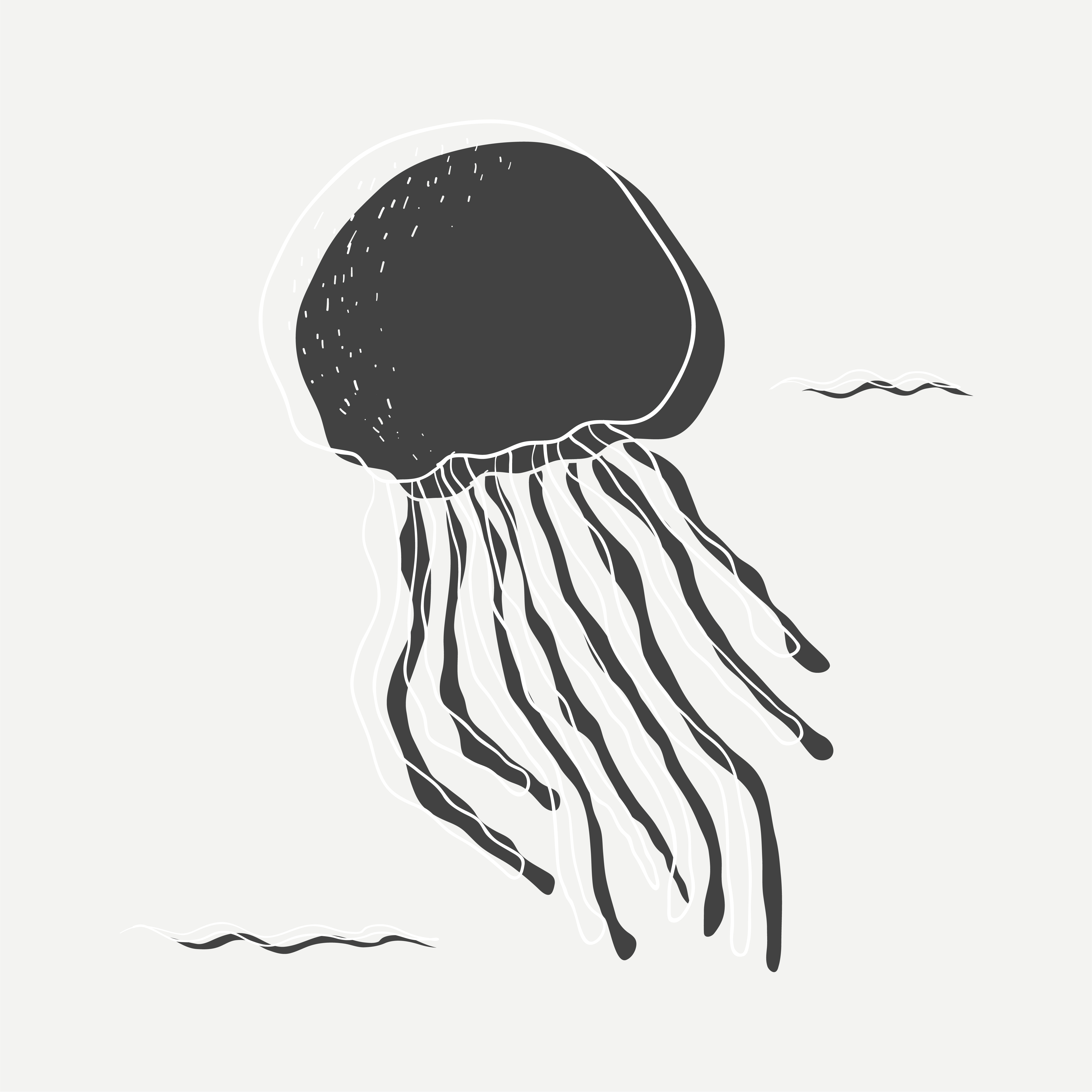 Download Jellyfish Vector - (3524 Free Downloads)