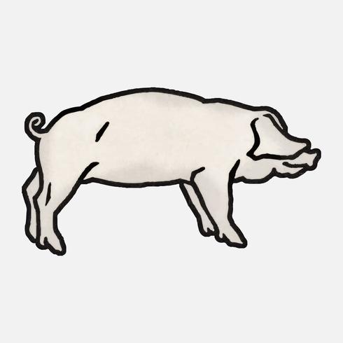 Pig 1923 by Julie de Graag 1877-1924. Original from the Rijks Museum. Digitally enhanced by rawpixel. vector