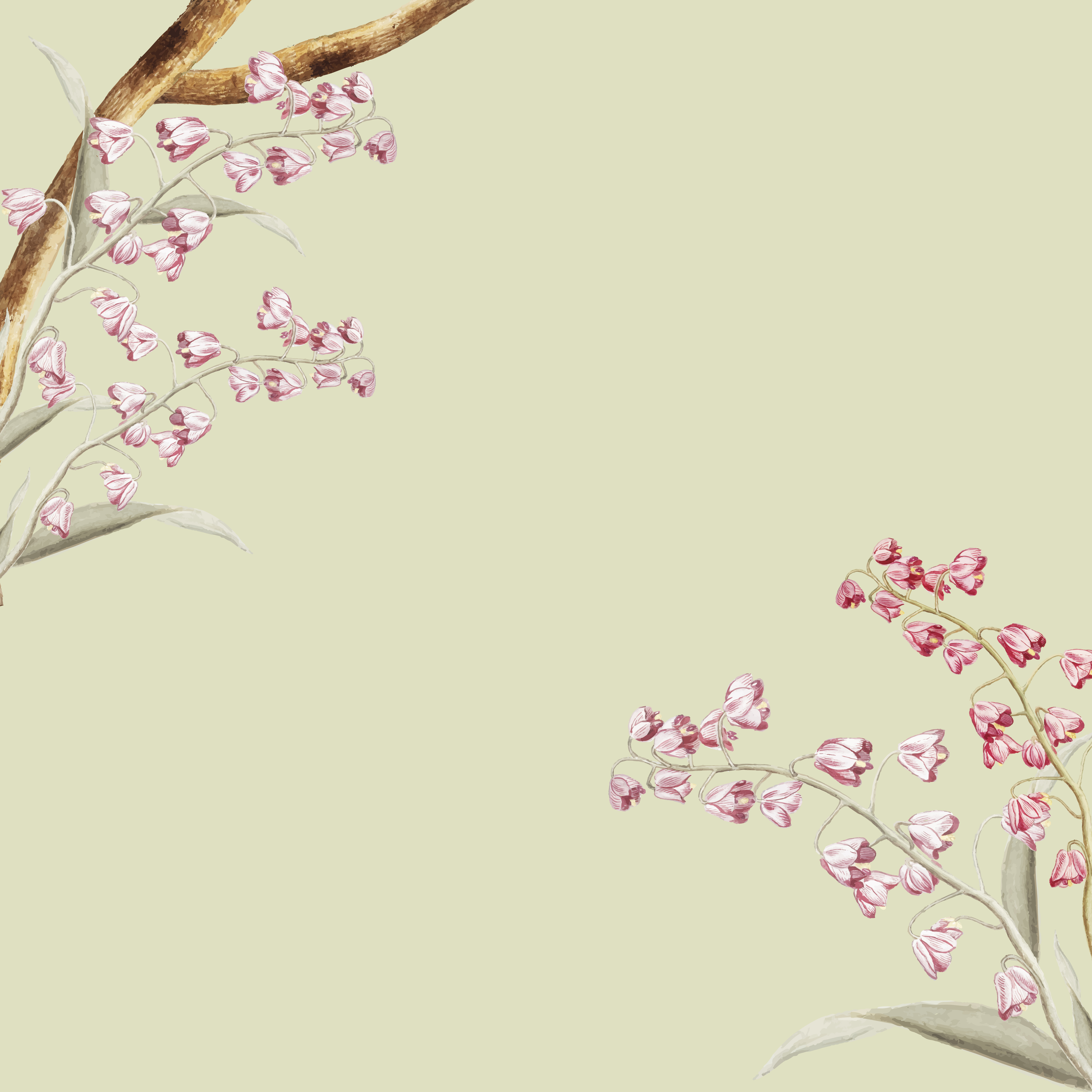 Floral frame design Download Free Vectors, Clipart Graphics & Vector Art