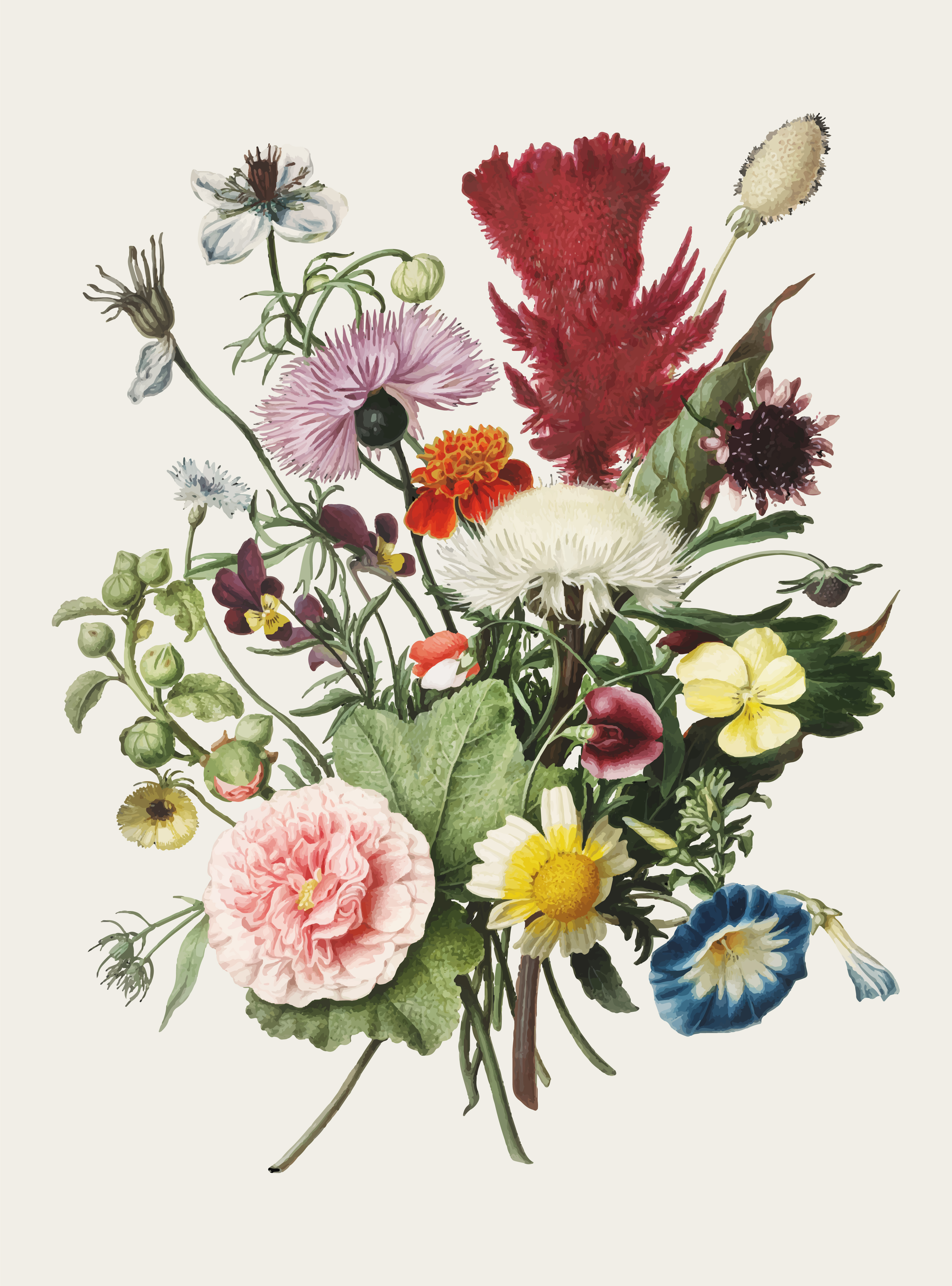 Vintage illustration of Bouquet of Flowers Download Free