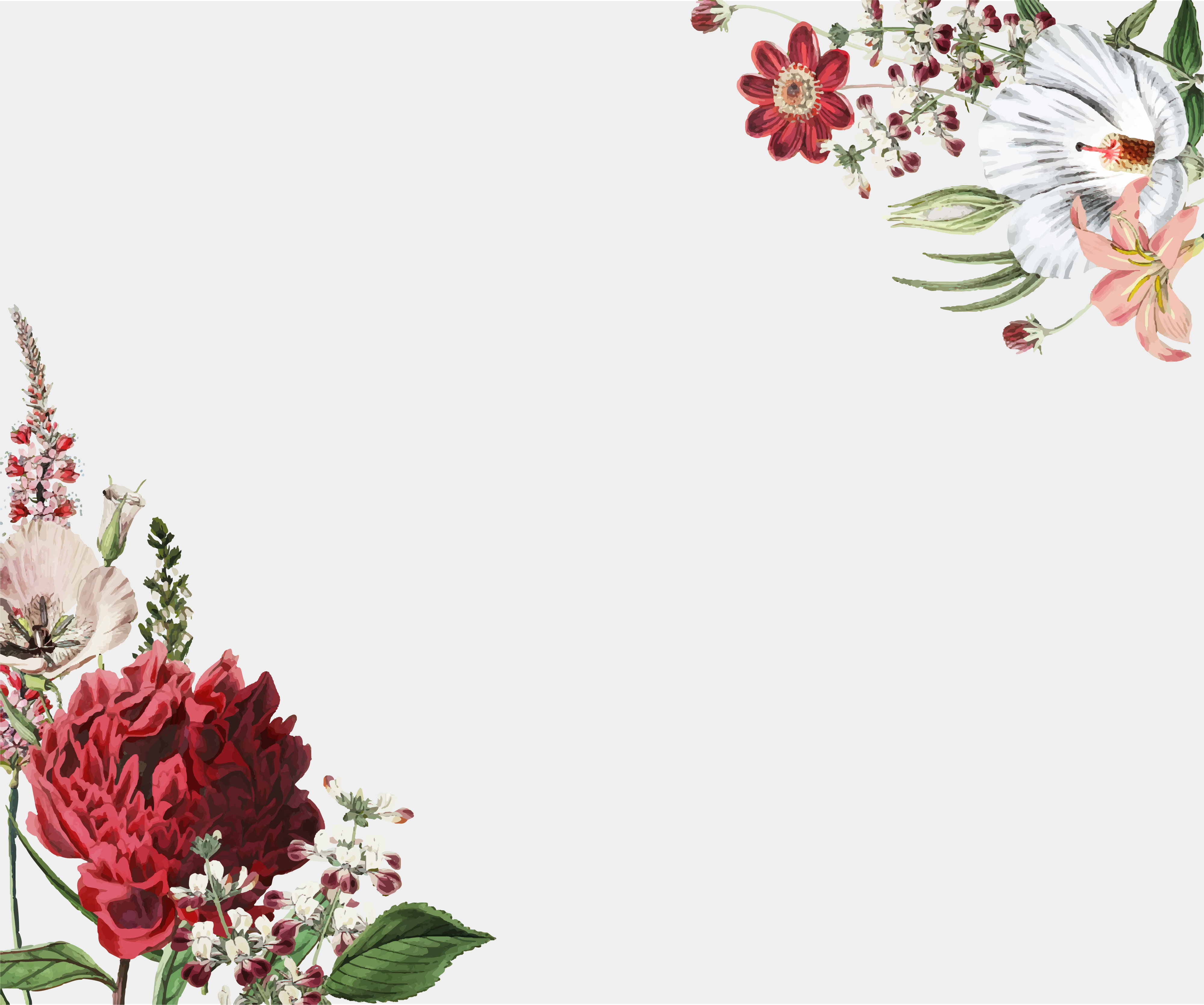 Flower frame design  Download Free Vectors Clipart 