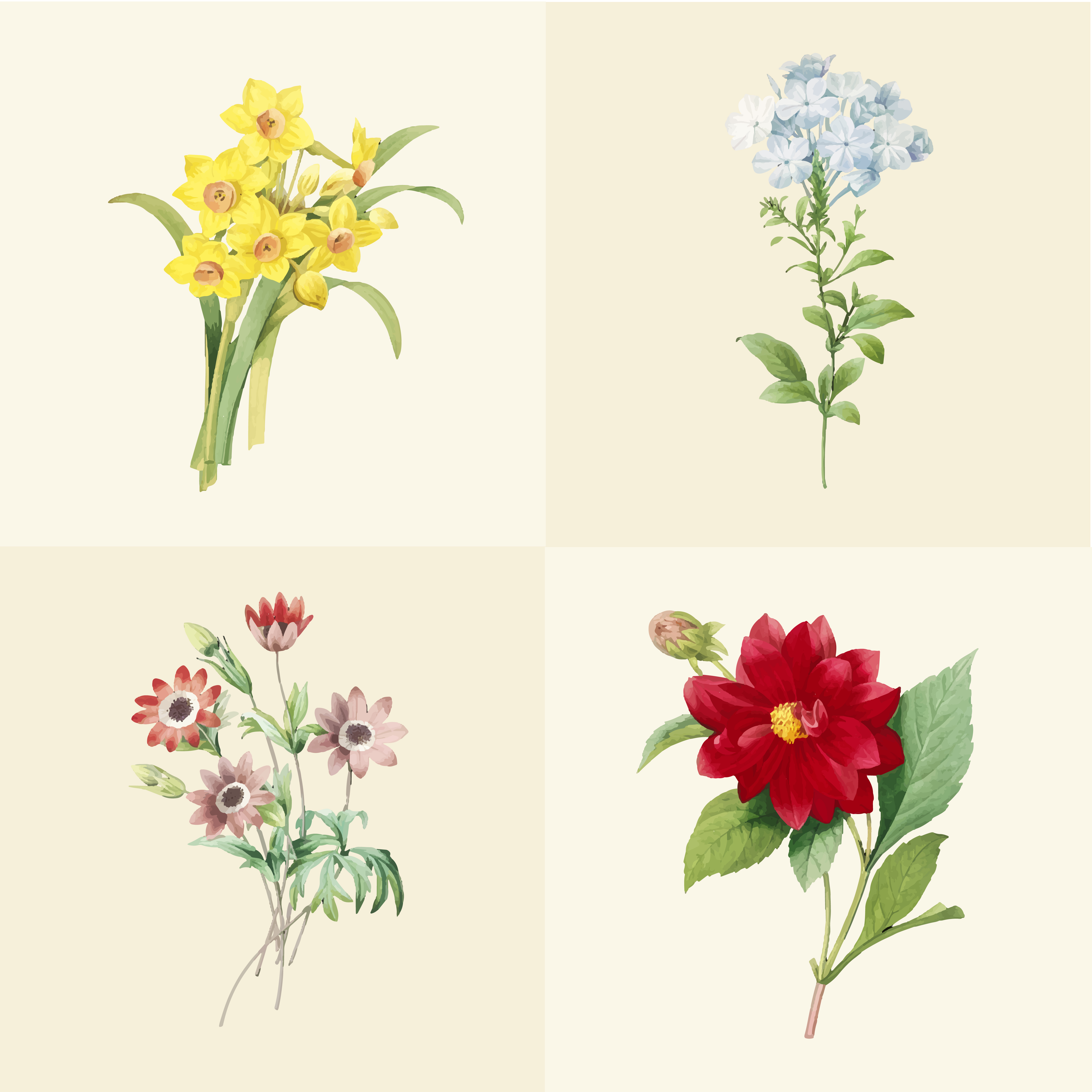 Download Set of beautiful blooming wildflowers - Download Free ...