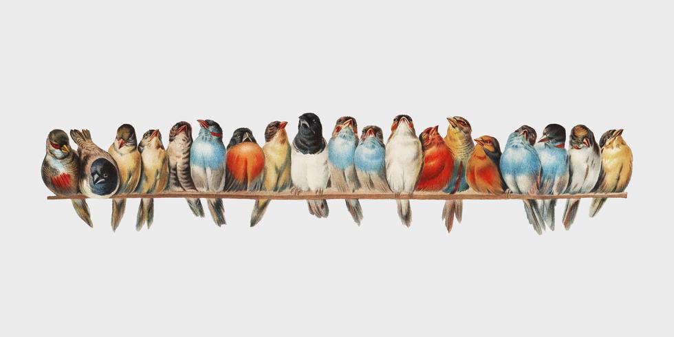 A Perch of Birds 1880 by Hector Giacomelli 1822-1904. Digitally enhanced by rawpixel. vector