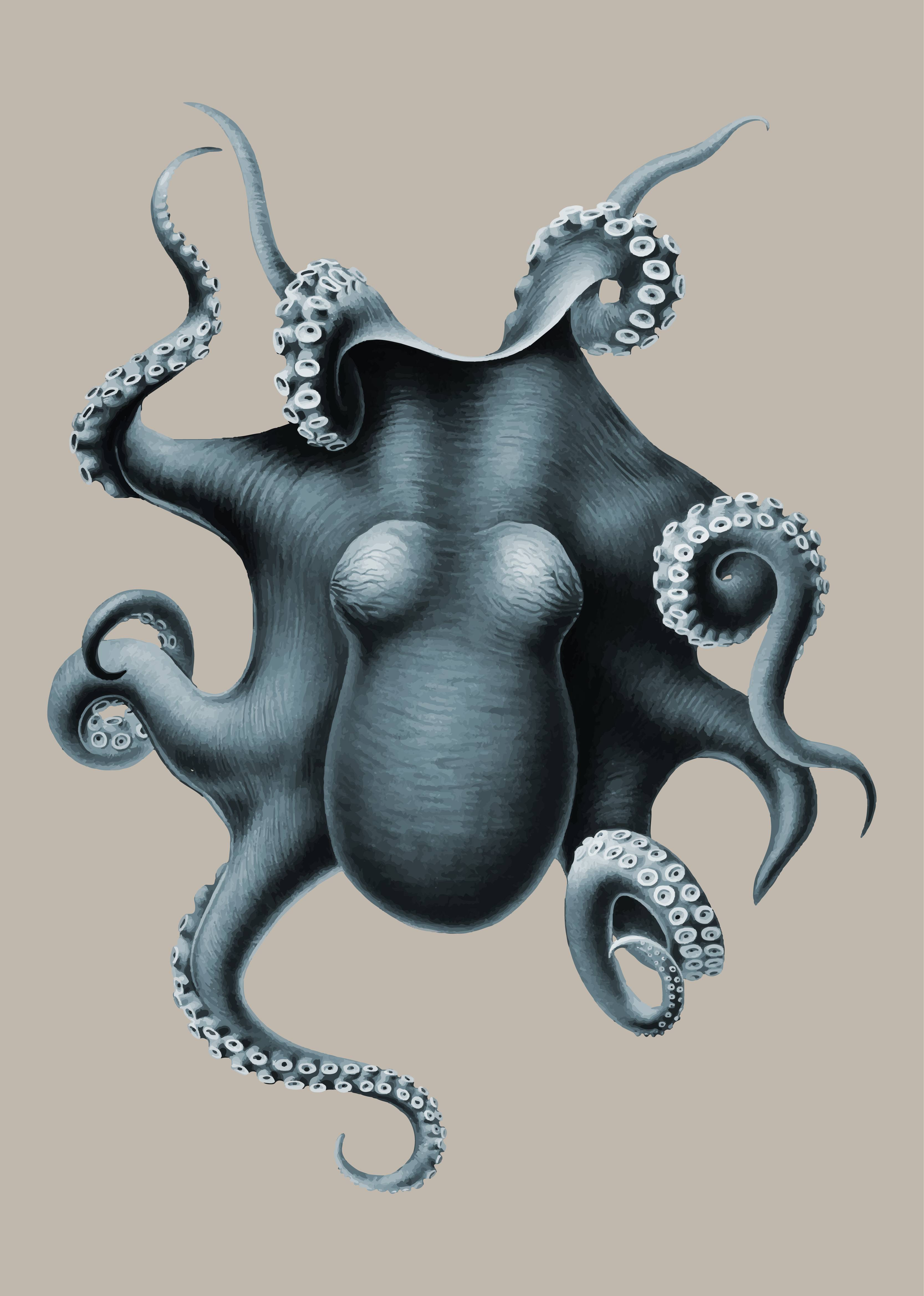 Octopus in vintage style - Download Free Vectors, Clipart Graphics