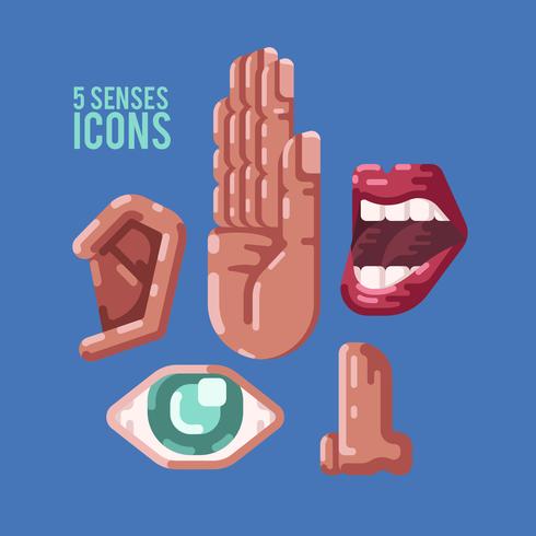 menselijke 5 zintuigen iconen illustratie - download gratis