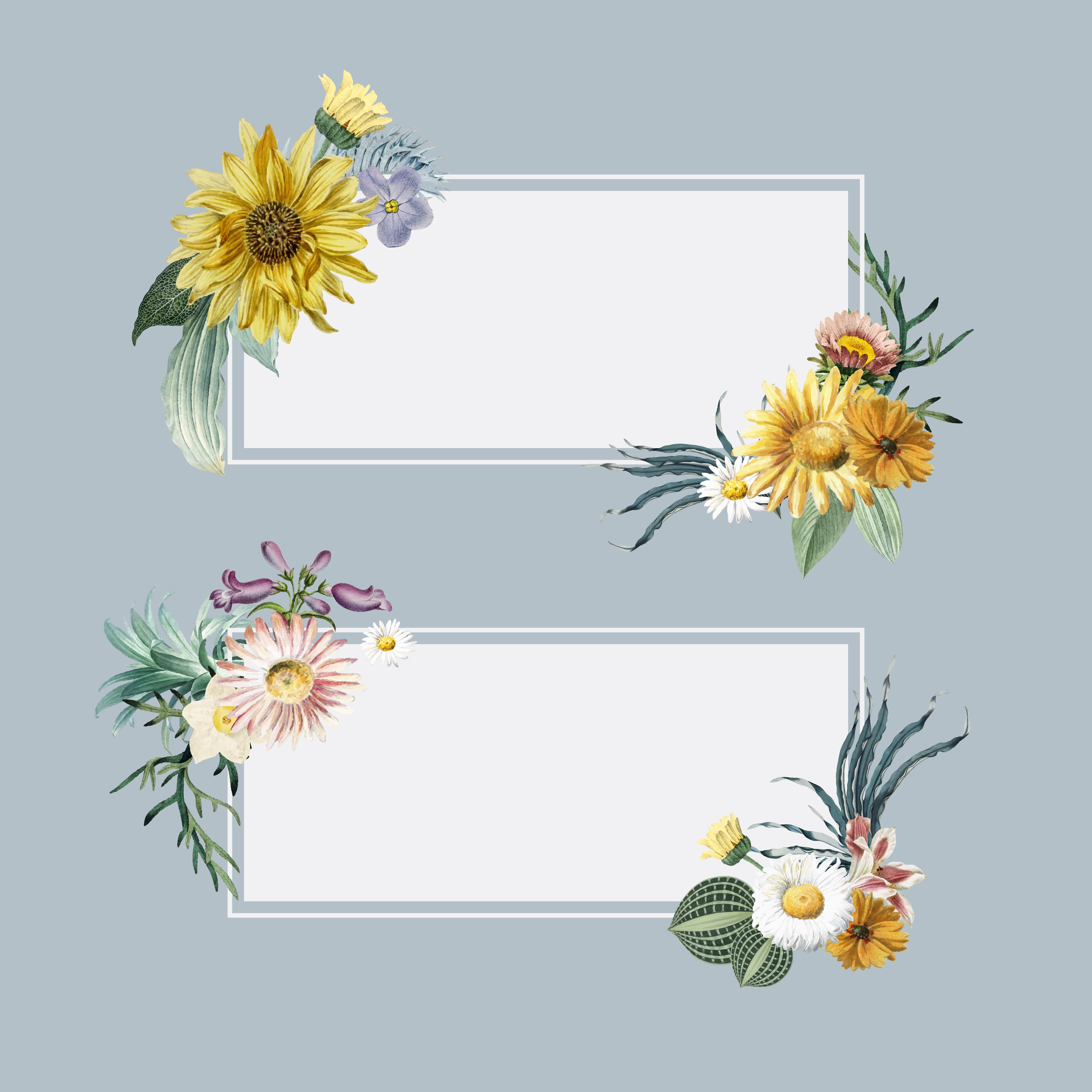 Download Floral summer banners - Download Free Vectors, Clipart ...