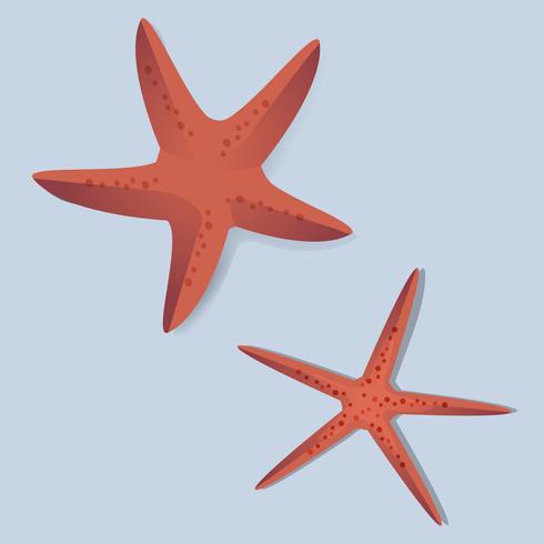 Illustration Vectorielle De Deux étoiles De Mer Rouge
