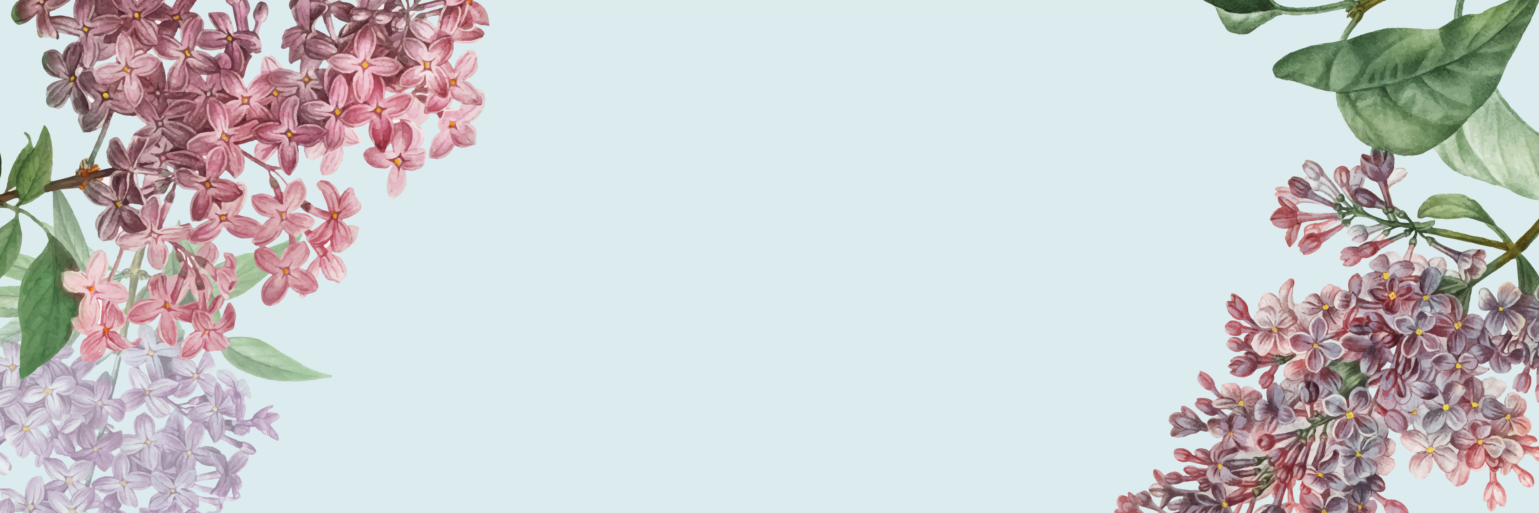 Floral framed banner Download Free Vectors, Clipart Graphics & Vector Art