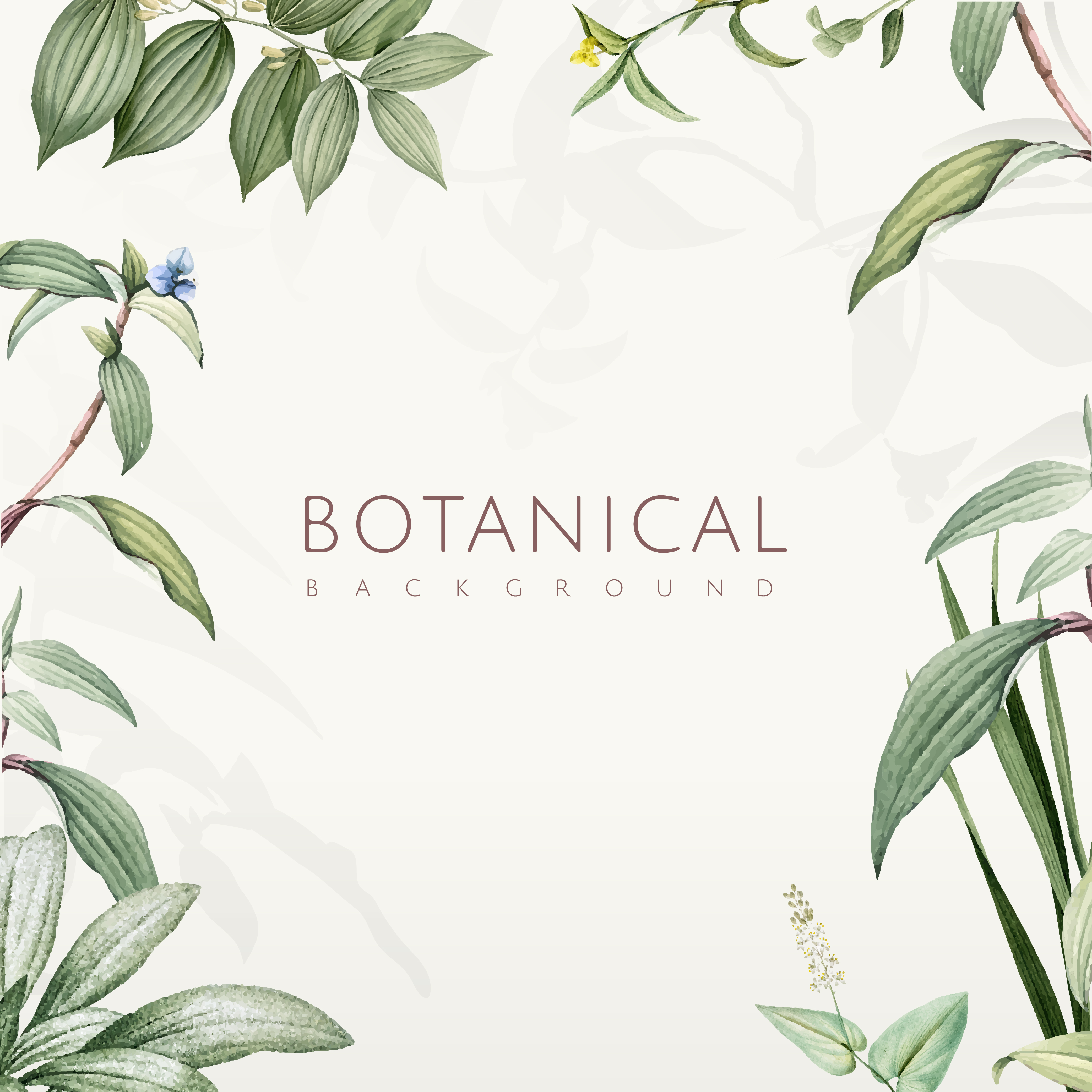 Green botanical leaves background design Download Free Vectors
