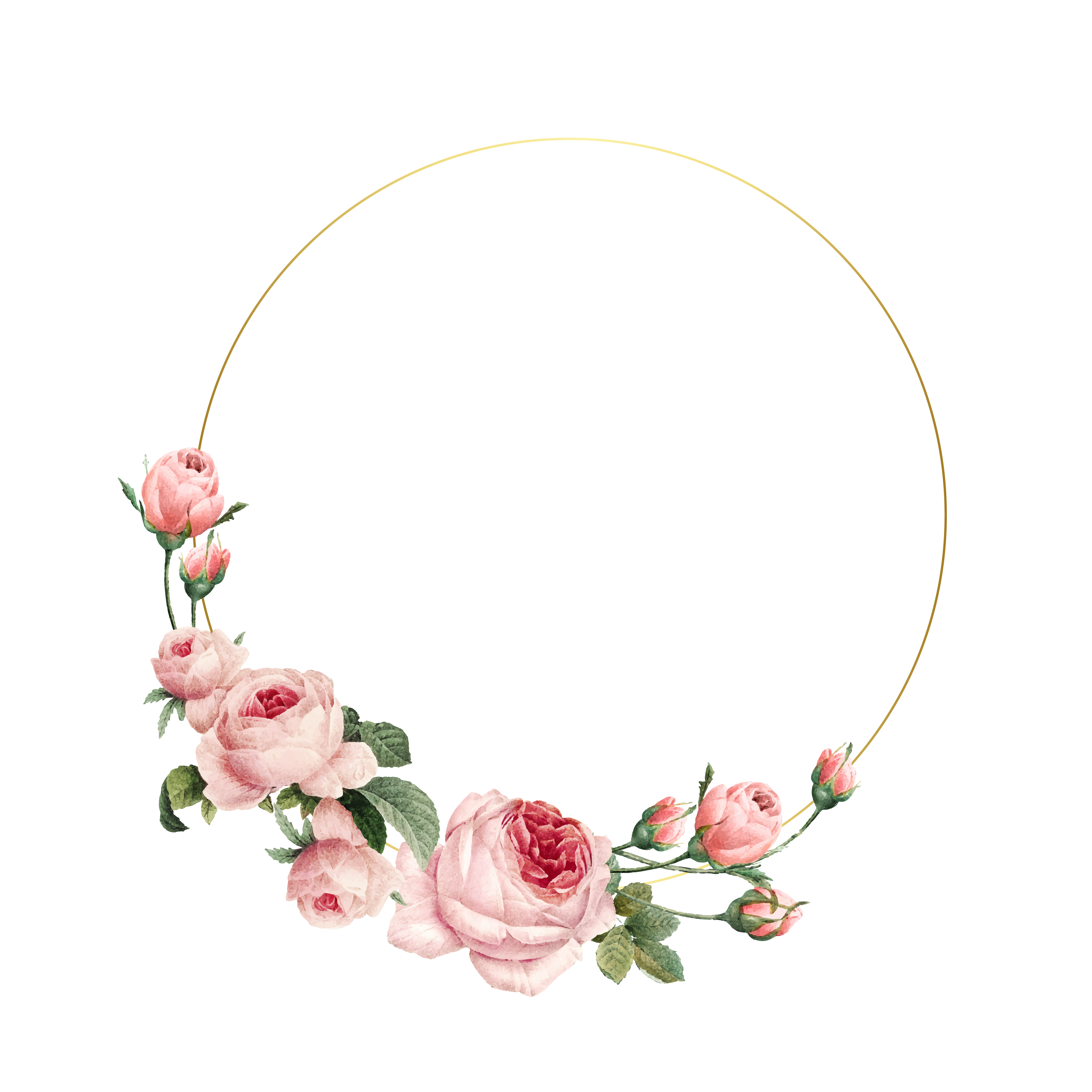 Download Blank round pink roses frame vector on white background - Download Free Vectors, Clipart ...