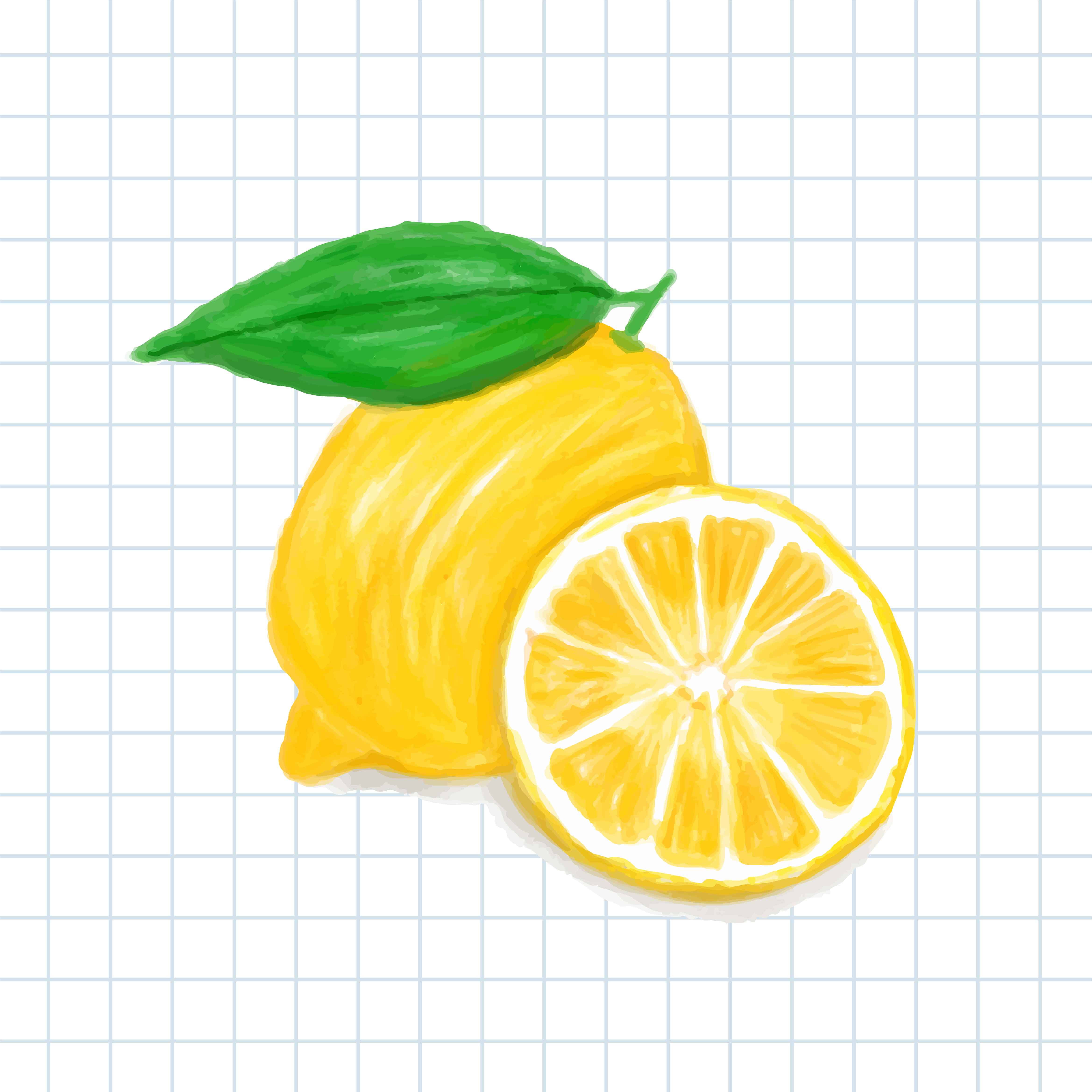 Hand drawn lemon watercolor style - Download Free Vectors, Clipart