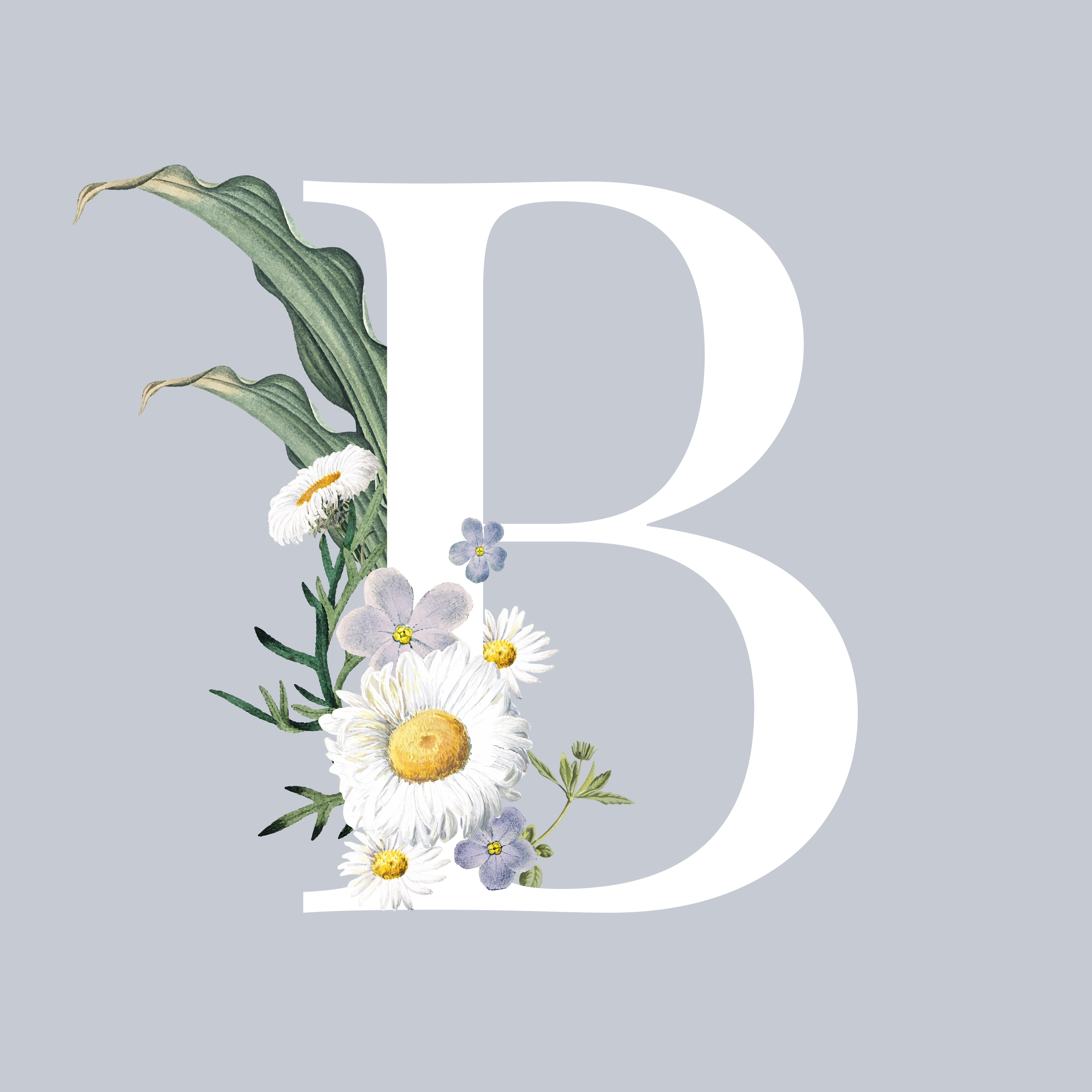 Letter B with blossoms - Download Free Vectors, Clipart Graphics