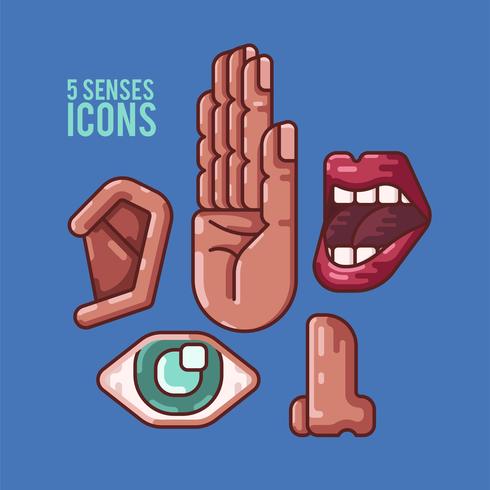 menselijke 5 zintuigen iconen illustratie - download gratis
