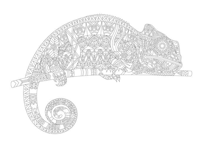 Coloring Page Of A Chameleon Download Free Vectors Clipart