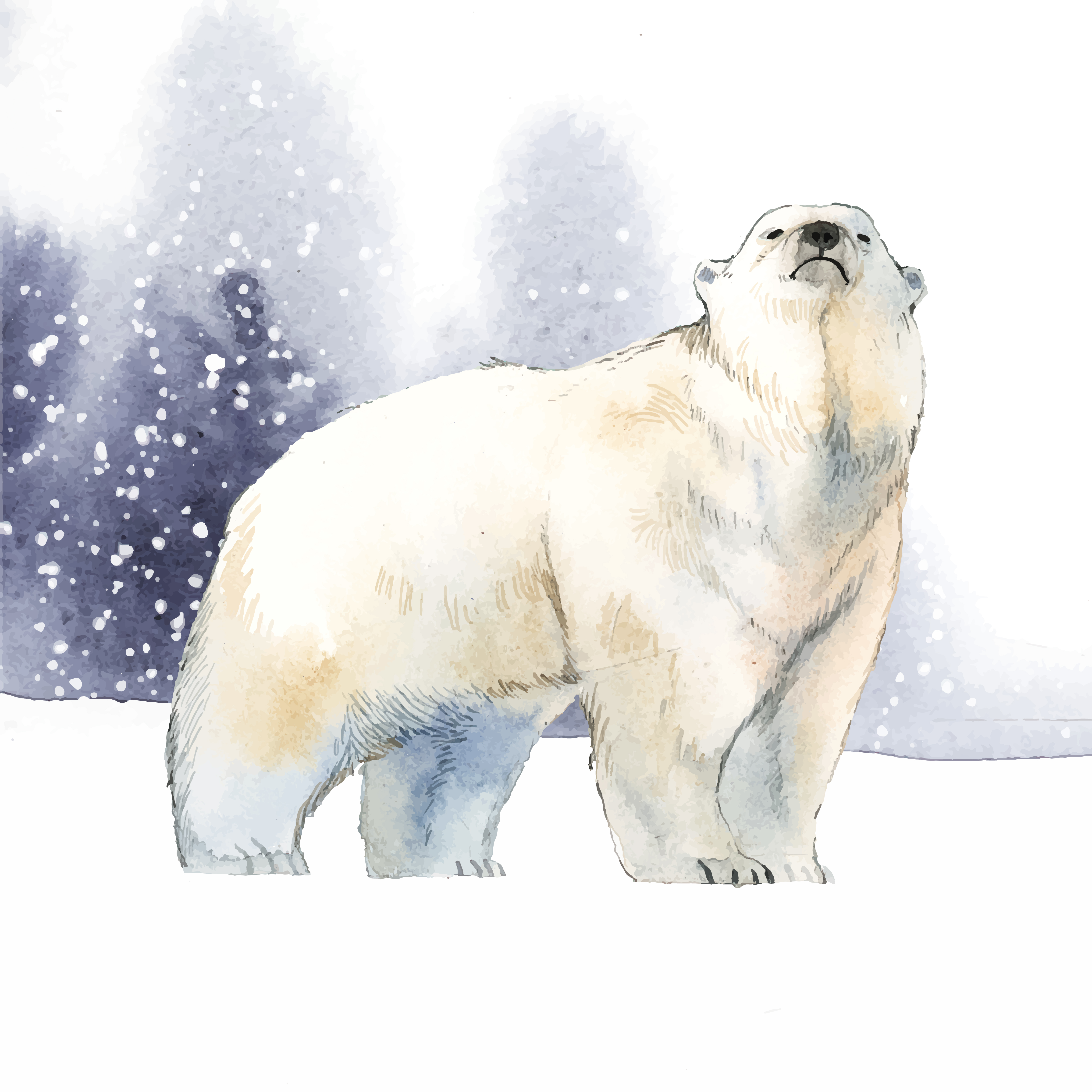 Polar Bear Illustration
 Hand drawn polar bear in the snow watercolor style vector Download