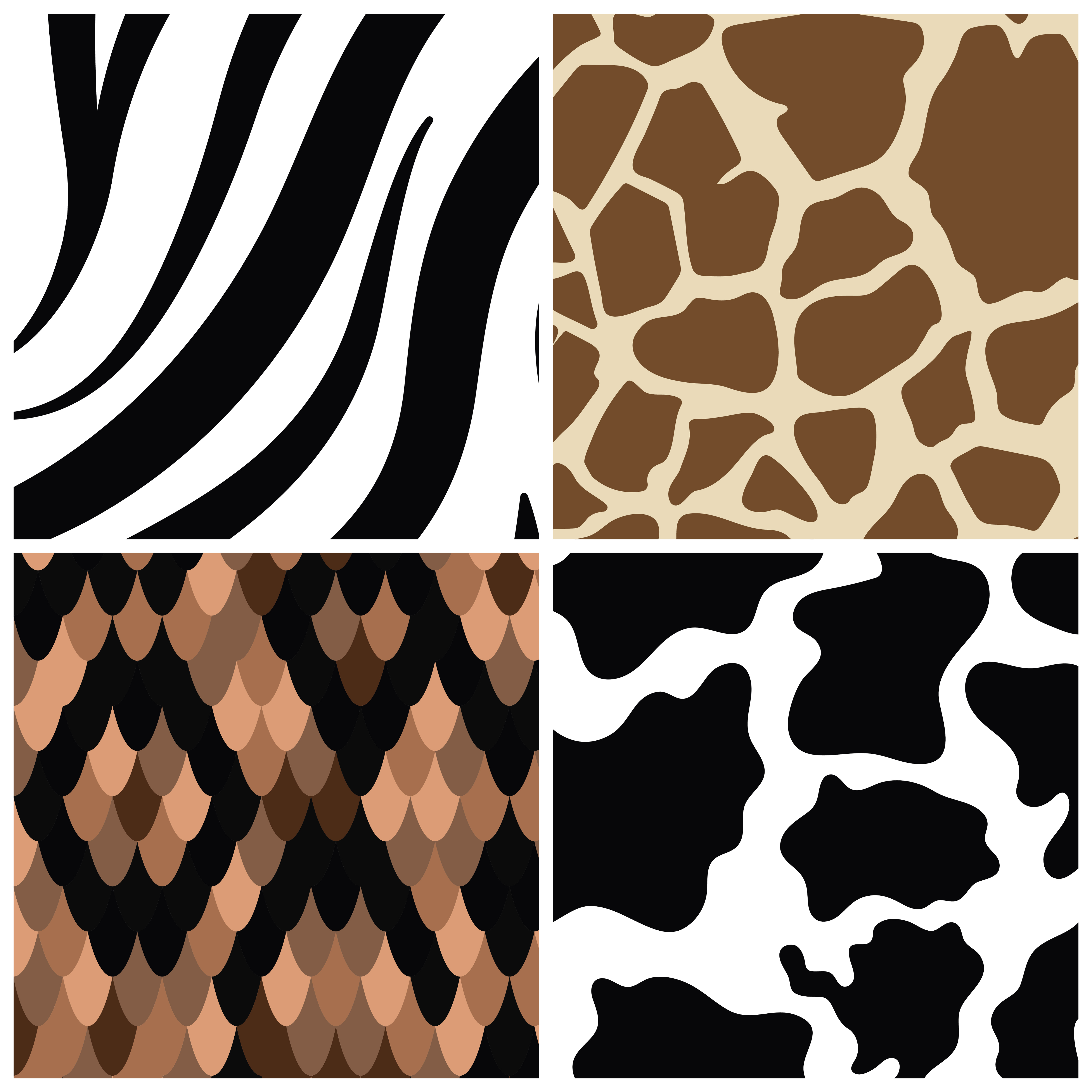 Download Set of seamless animal print pattern vectors - Download Free Vectors, Clipart Graphics & Vector Art