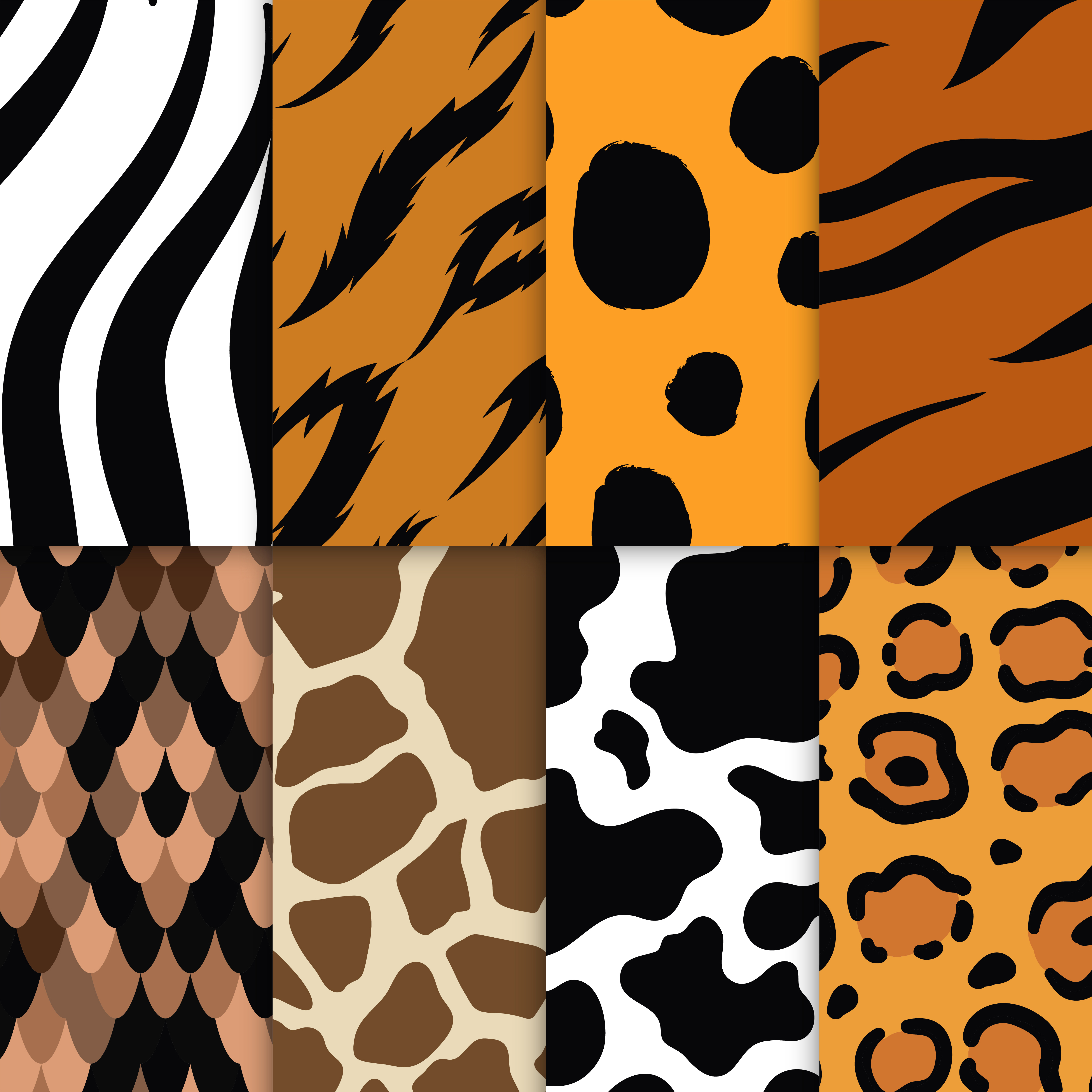 Download Set of seamless animal print pattern vectors - Download ...