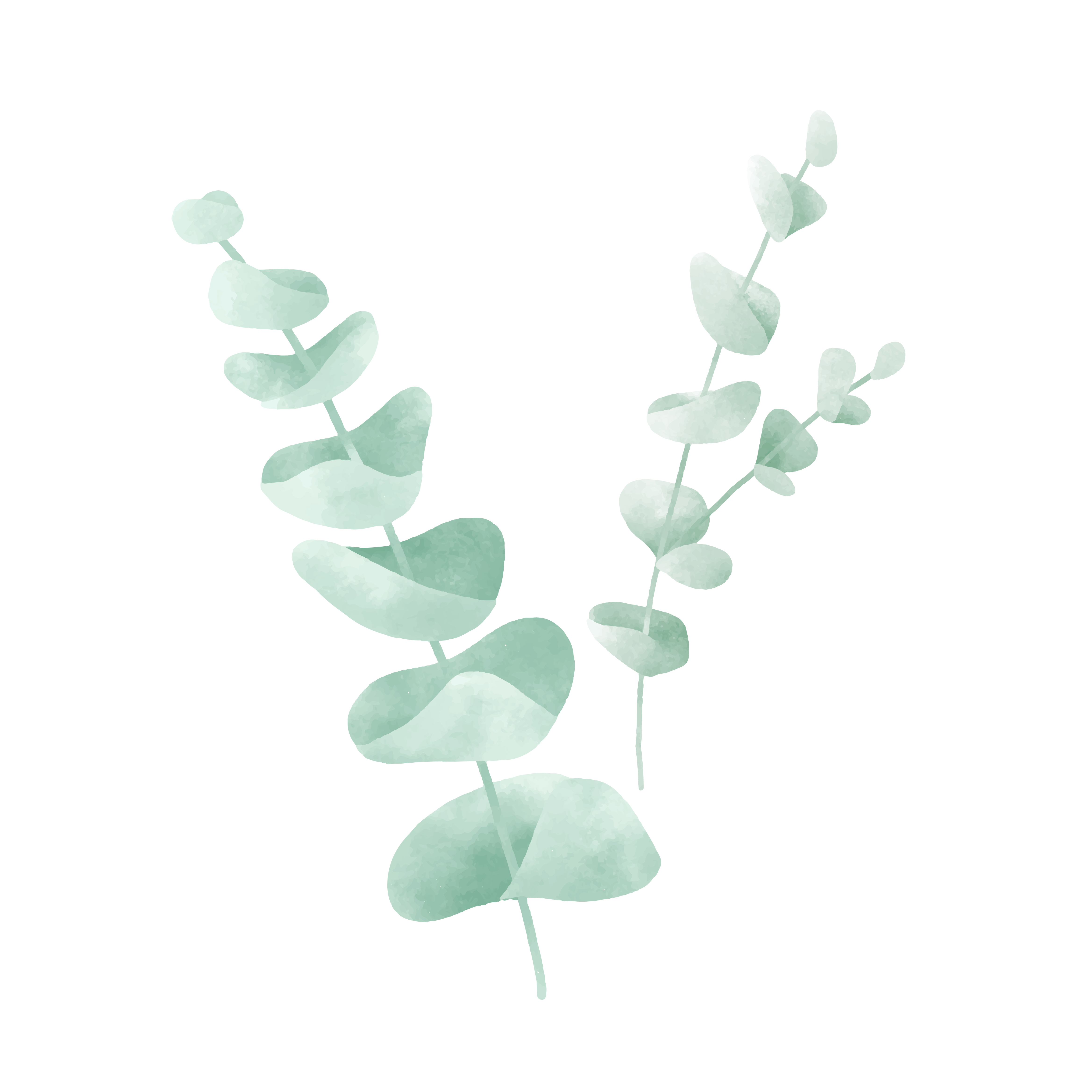 Download Watercolor graphic of leaves design - Download Free Vectors, Clipart Graphics & Vector Art