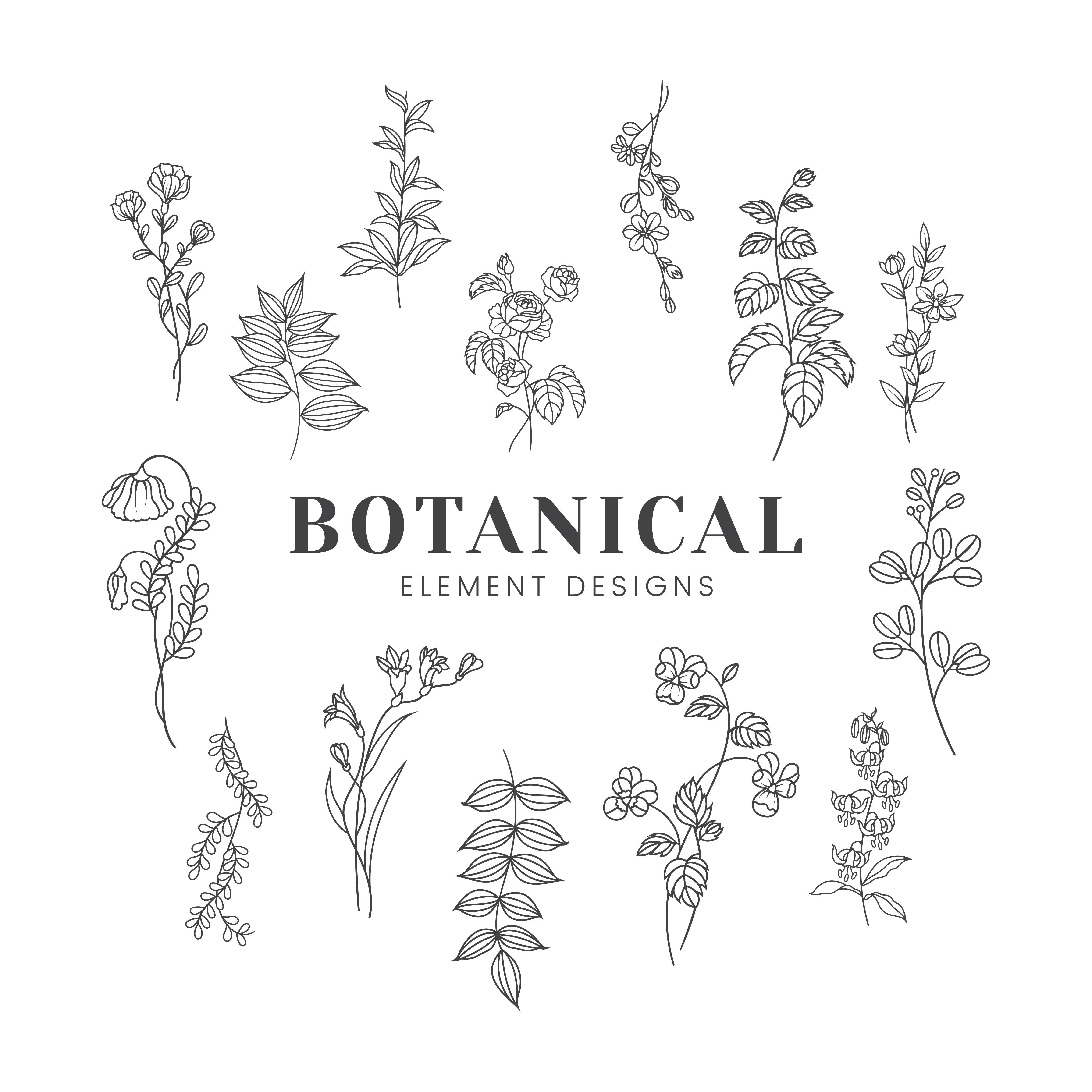 Download Botanical floral mockup illustration - Download Free Vectors, Clipart Graphics & Vector Art