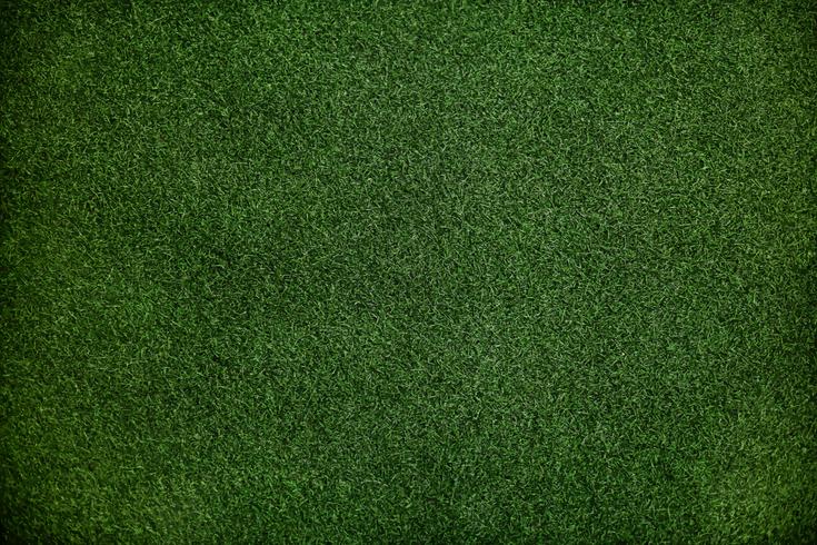 Green grass wallpaper with design space