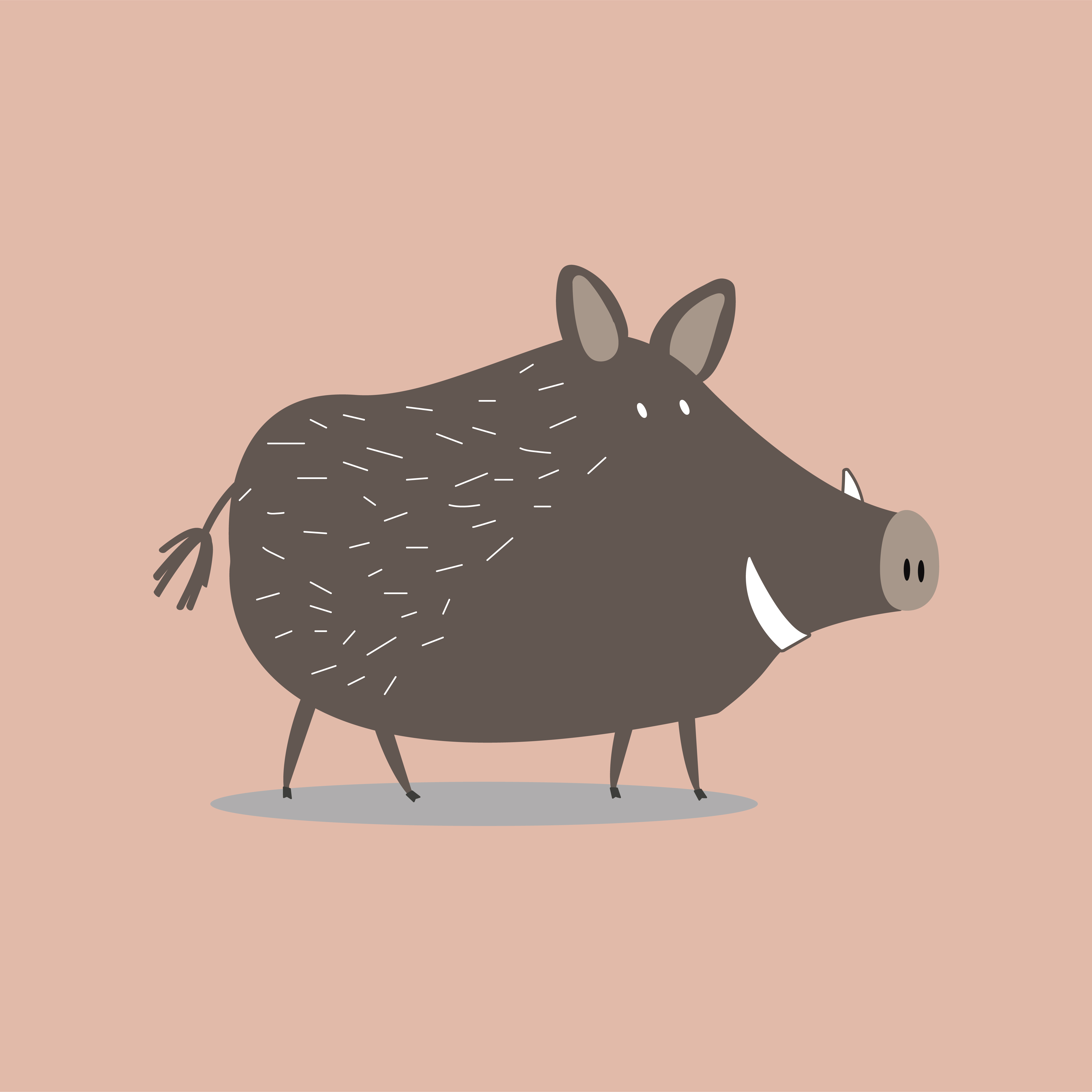 Cute wild boar cartoon illustration - Download Free Vectors, Clipart