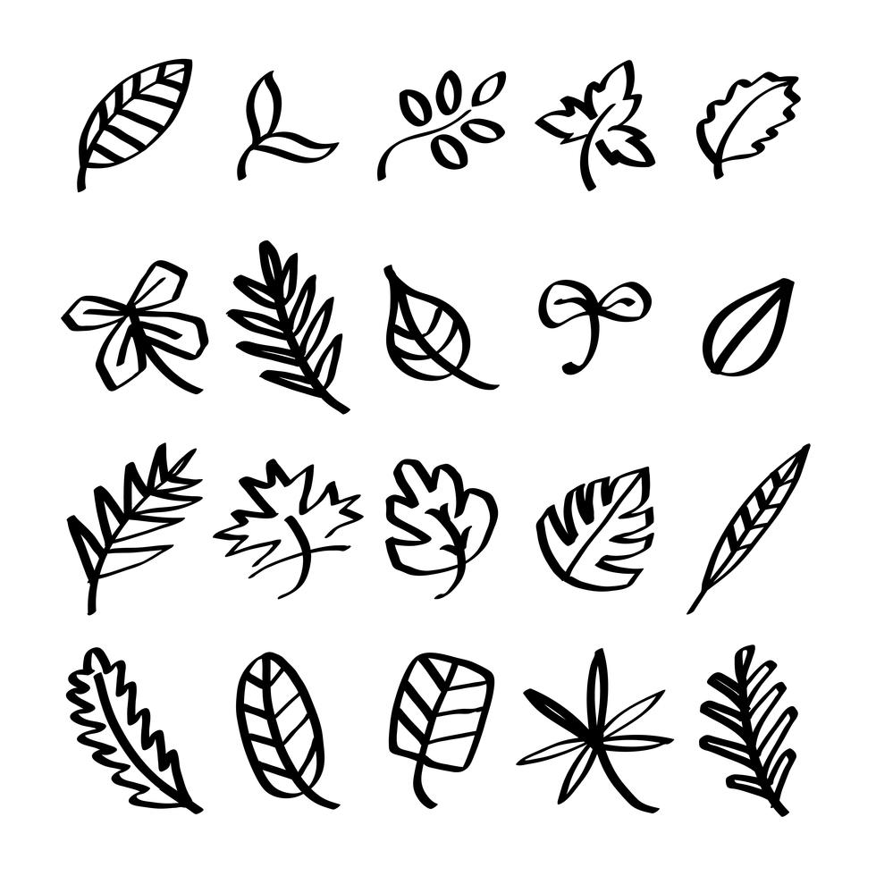 leaf doodle leaf doodle