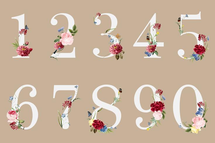 Download Botanical numbers with tropical flowers illustration - Download Free Vectors, Clipart Graphics ...