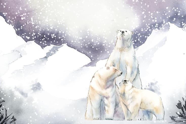 Eisbaren Im Schneeaquarellvektor Download Kostenlos Vector