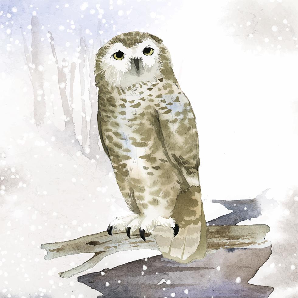 Free Free 169 Snowy Owl Svg SVG PNG EPS DXF File