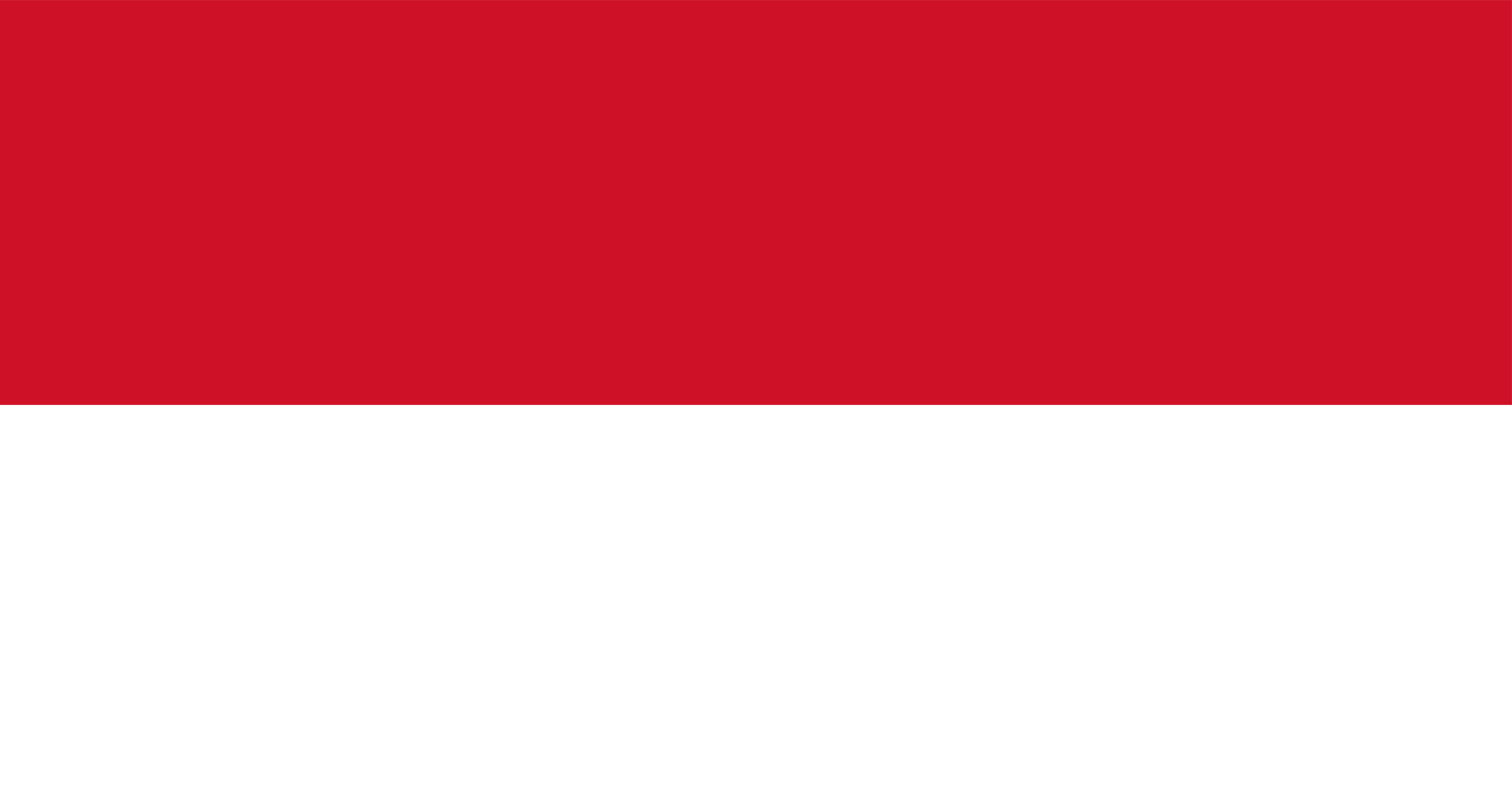 Illustration of Indonesia flag  Download Free Vectors 