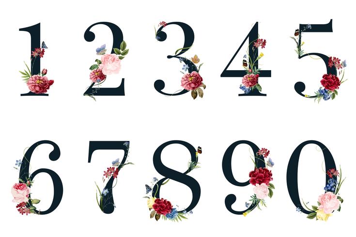Numbers Kostenlos Numbers Kostenlos