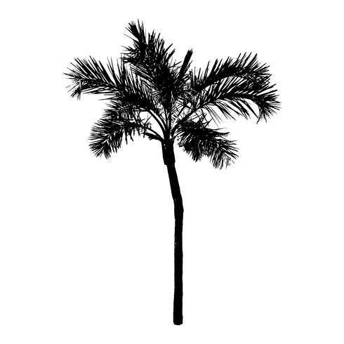 Download Palm tree silhouette on white background - Download Free ...